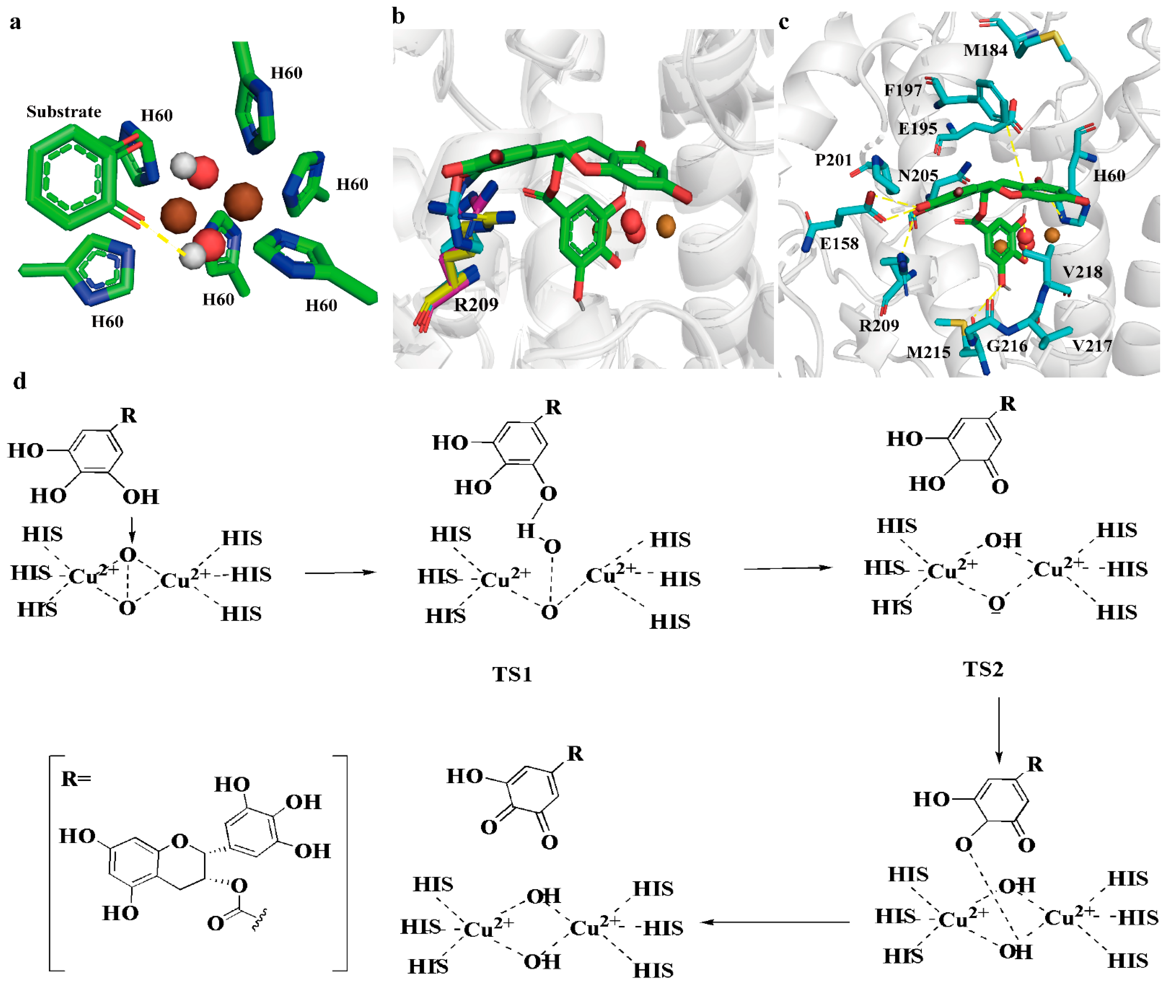 Molecules 28 03831 g003