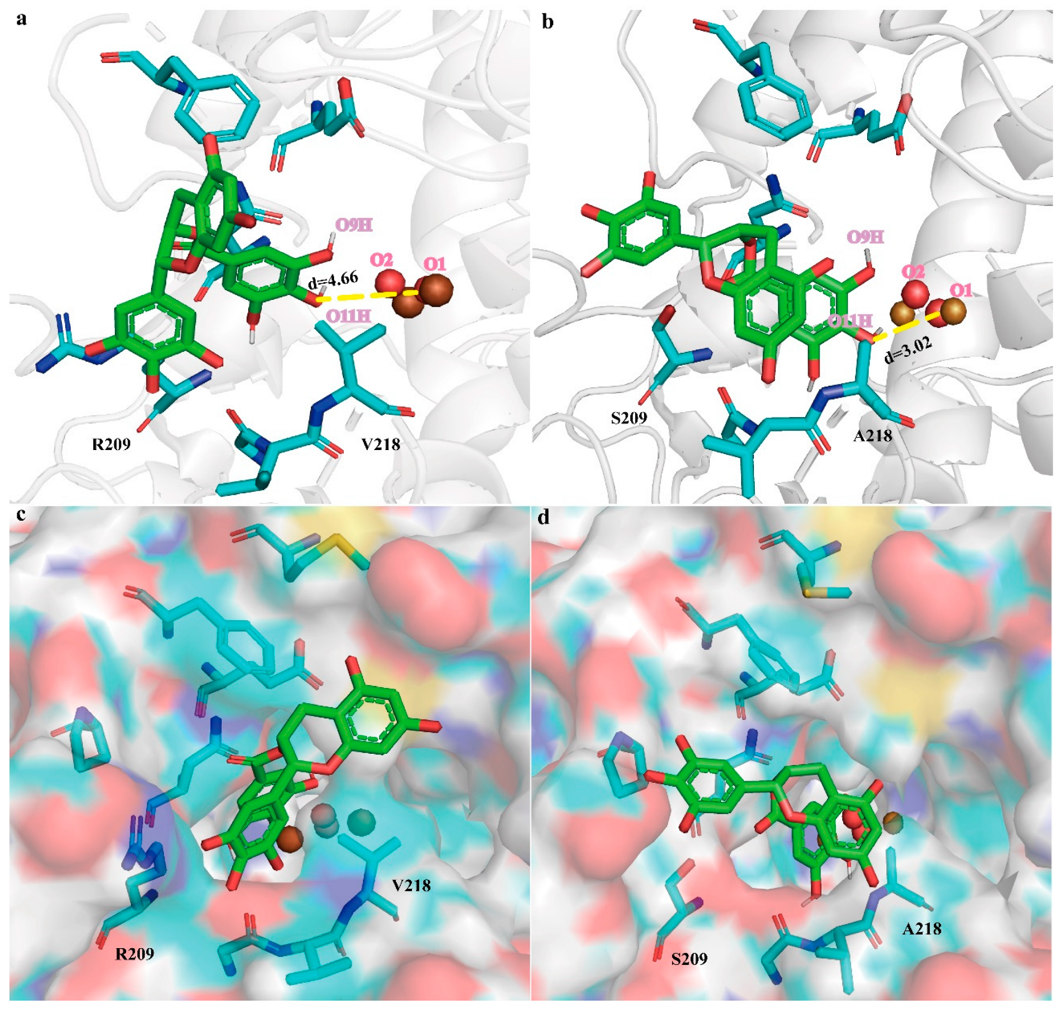 Molecules 28 03831 g005