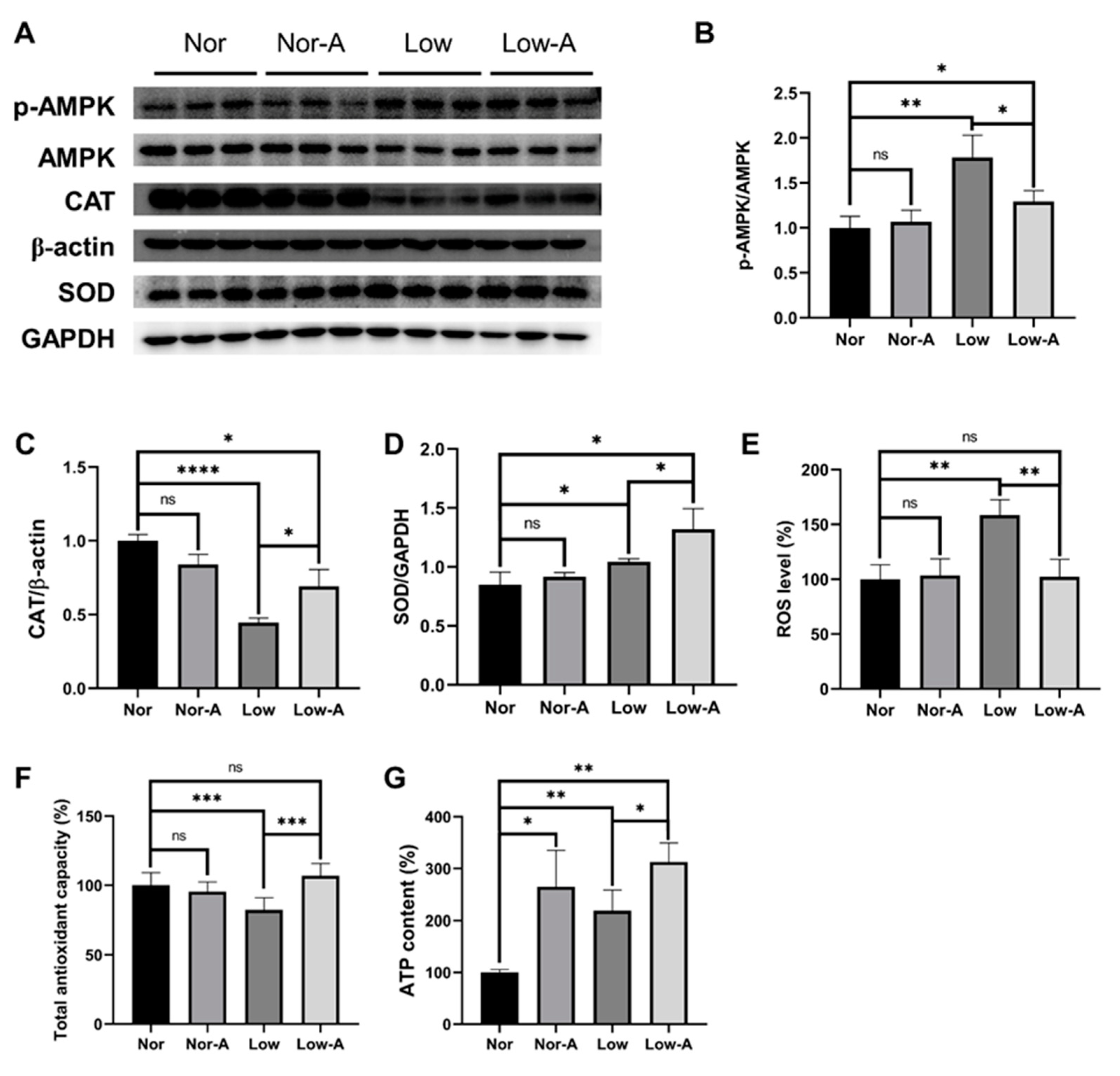 Molecules 28 03840 g006 Molecules 28 03840 g006
