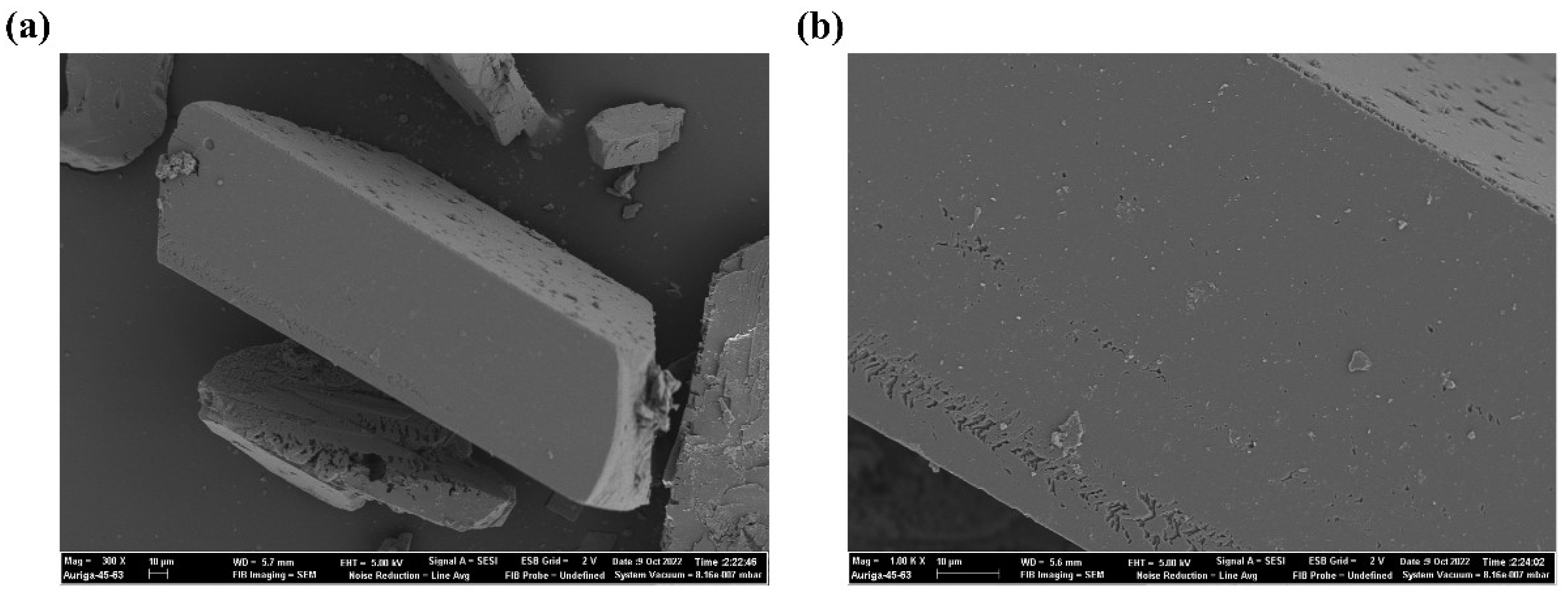 Molecules 28 03841 g017 Molecules 28 03841 g017
