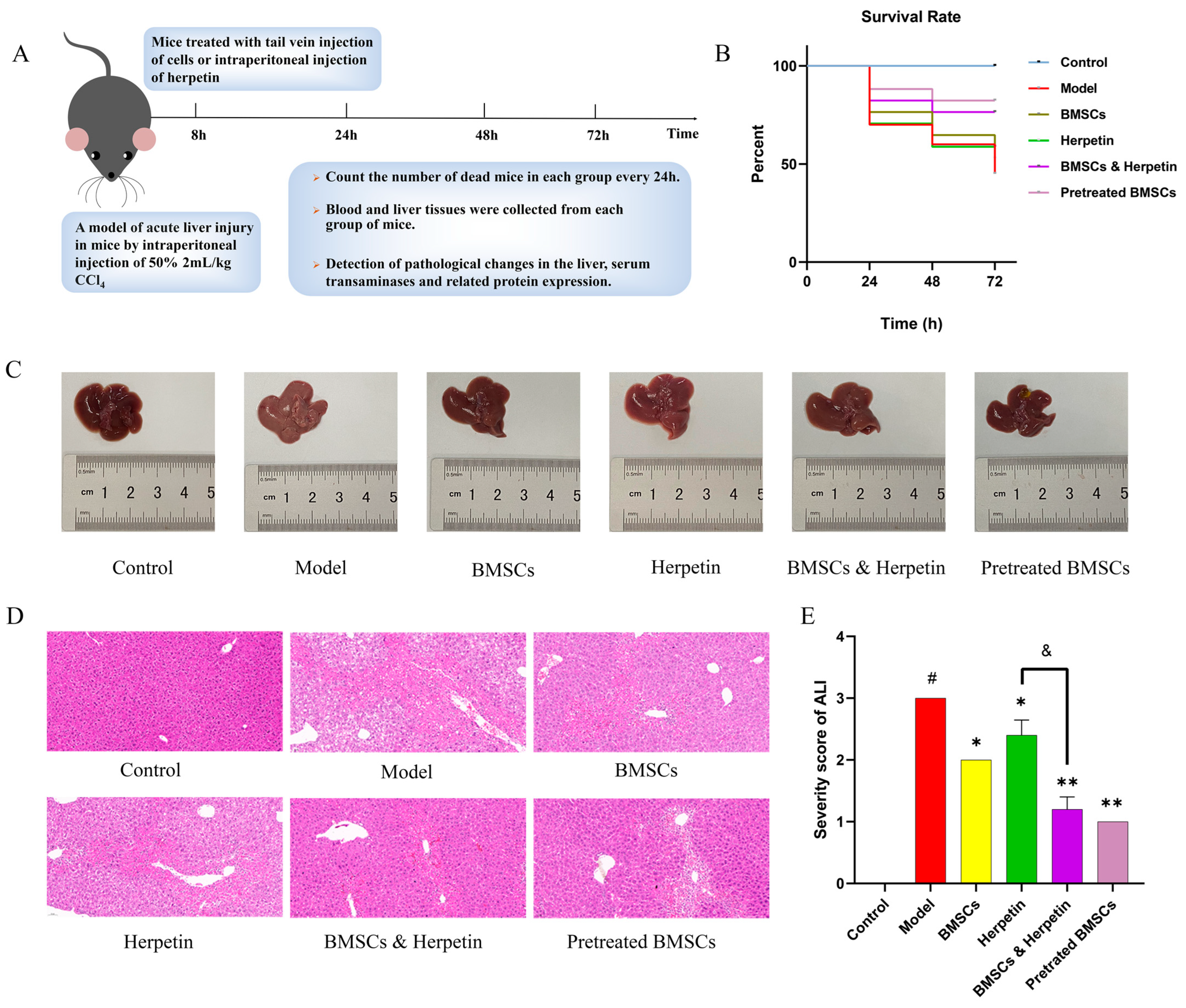 Molecules 28 03842 g004 Molecules 28 03842 g004
