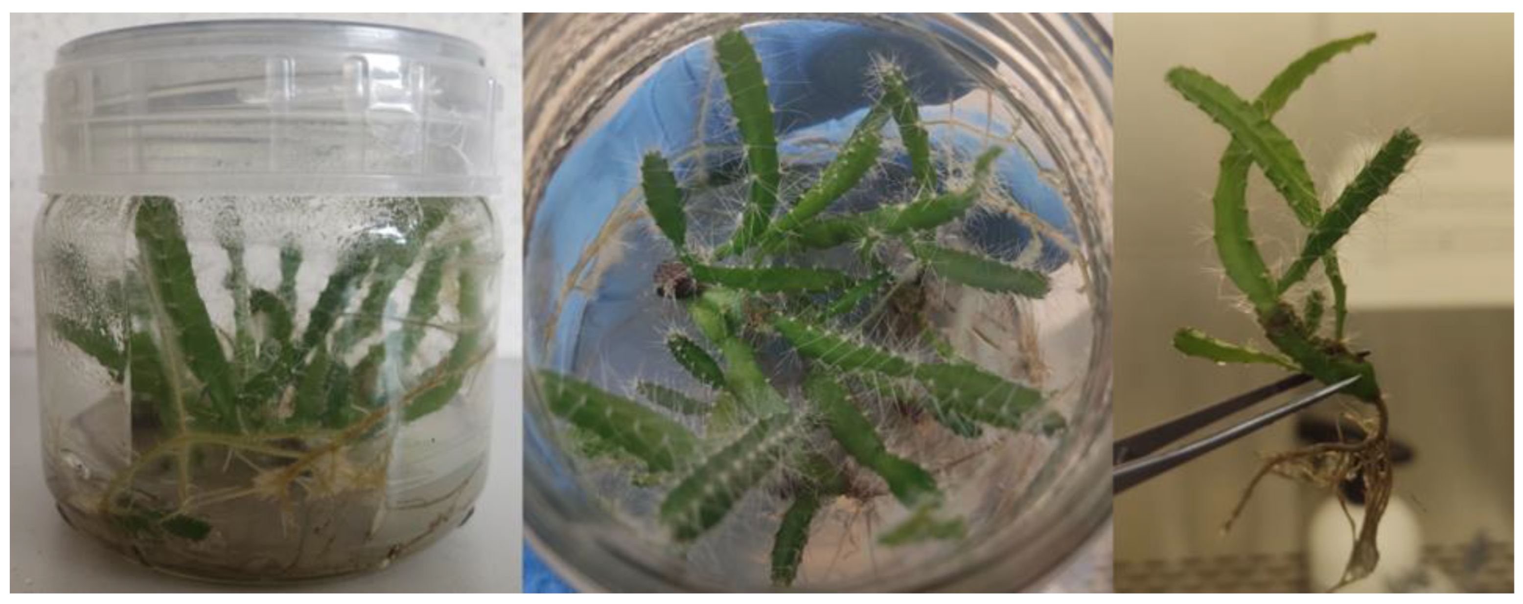 Molecules 28 03843 g001 Molecules 28 03843 g001