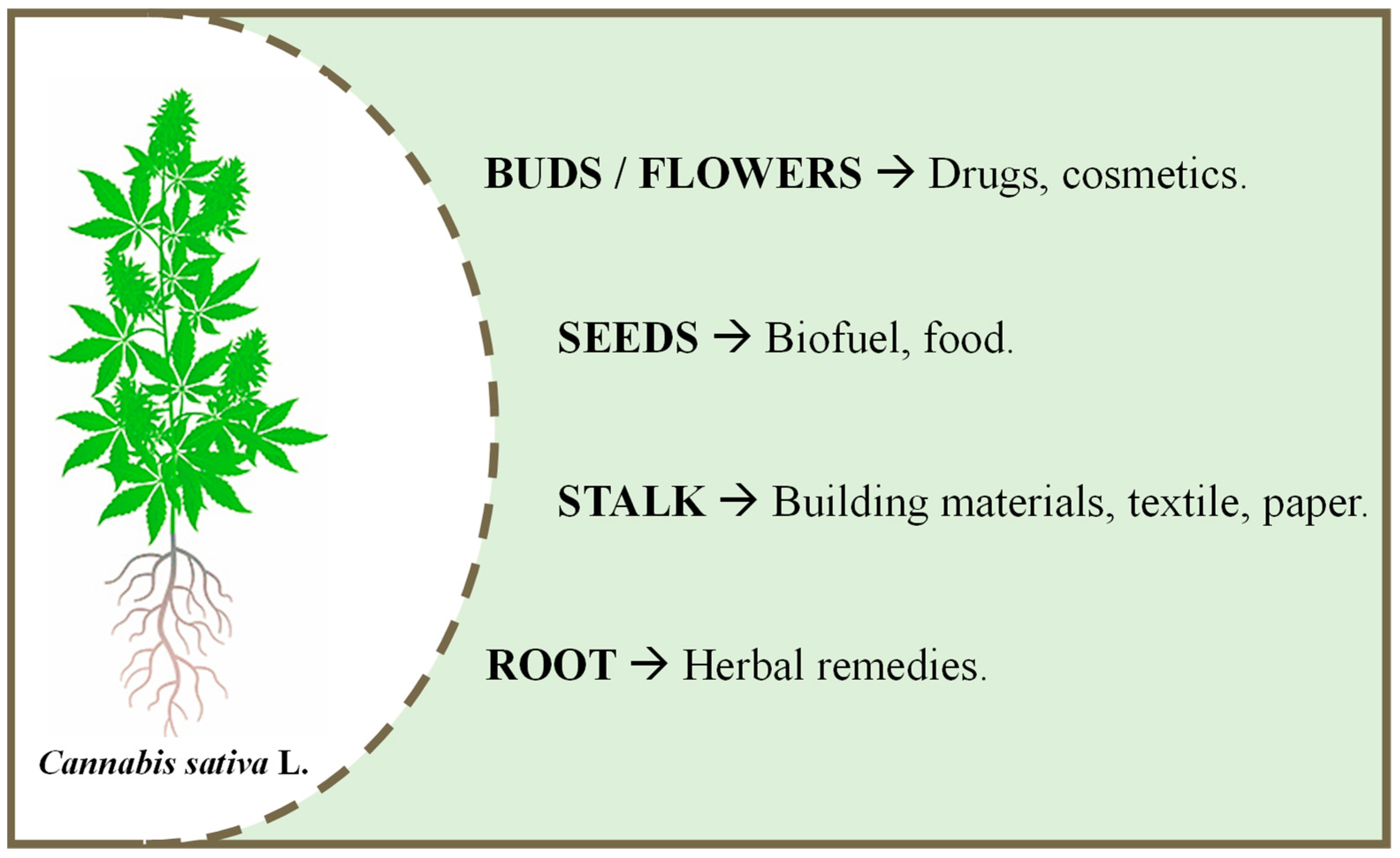 Molecules 28 03849 g002