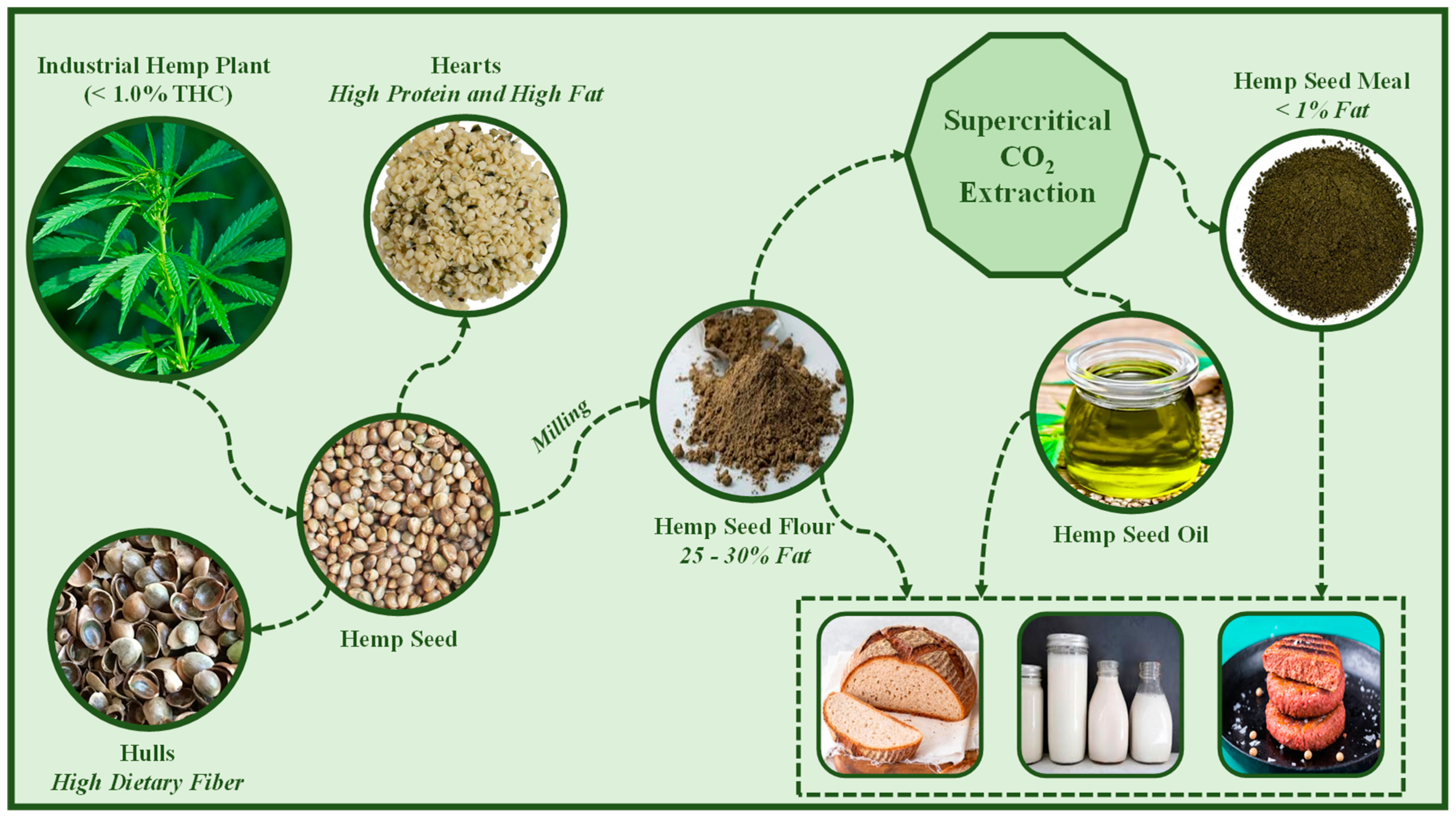 Molecules 28 03849 g003