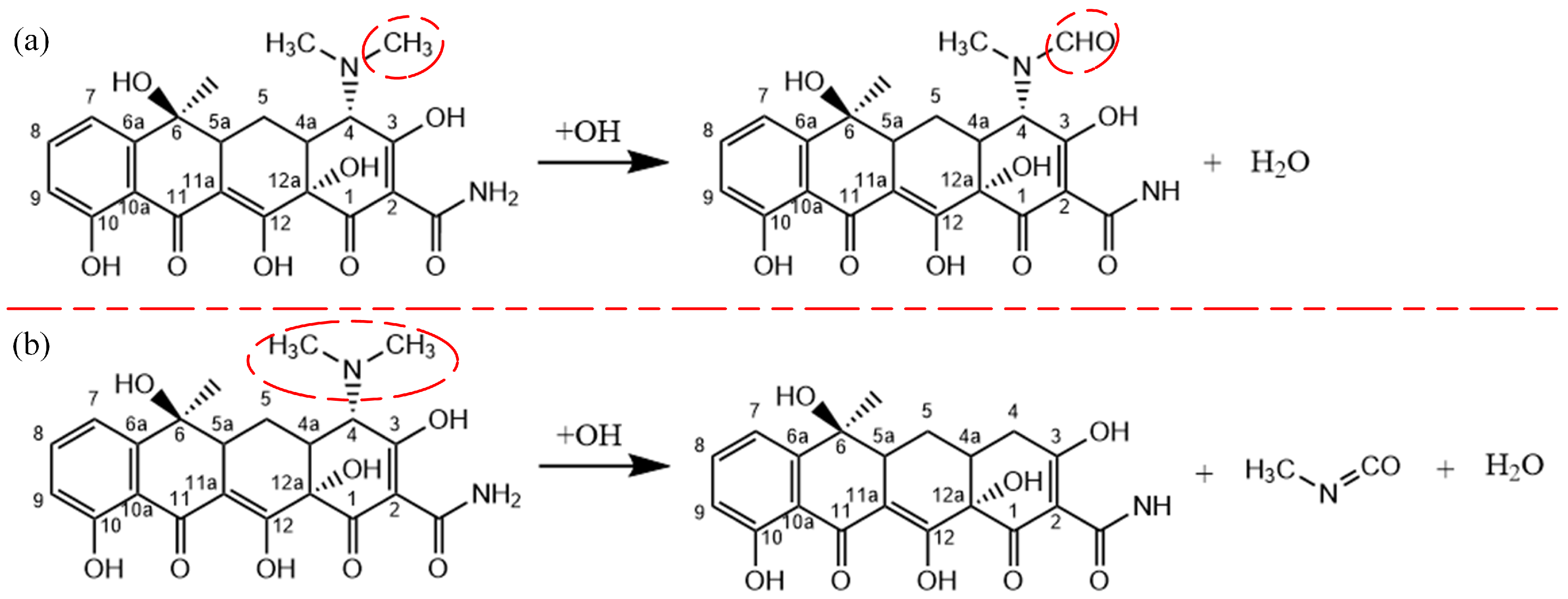 Molecules 28 03850 g004 Molecules 28 03850 g004