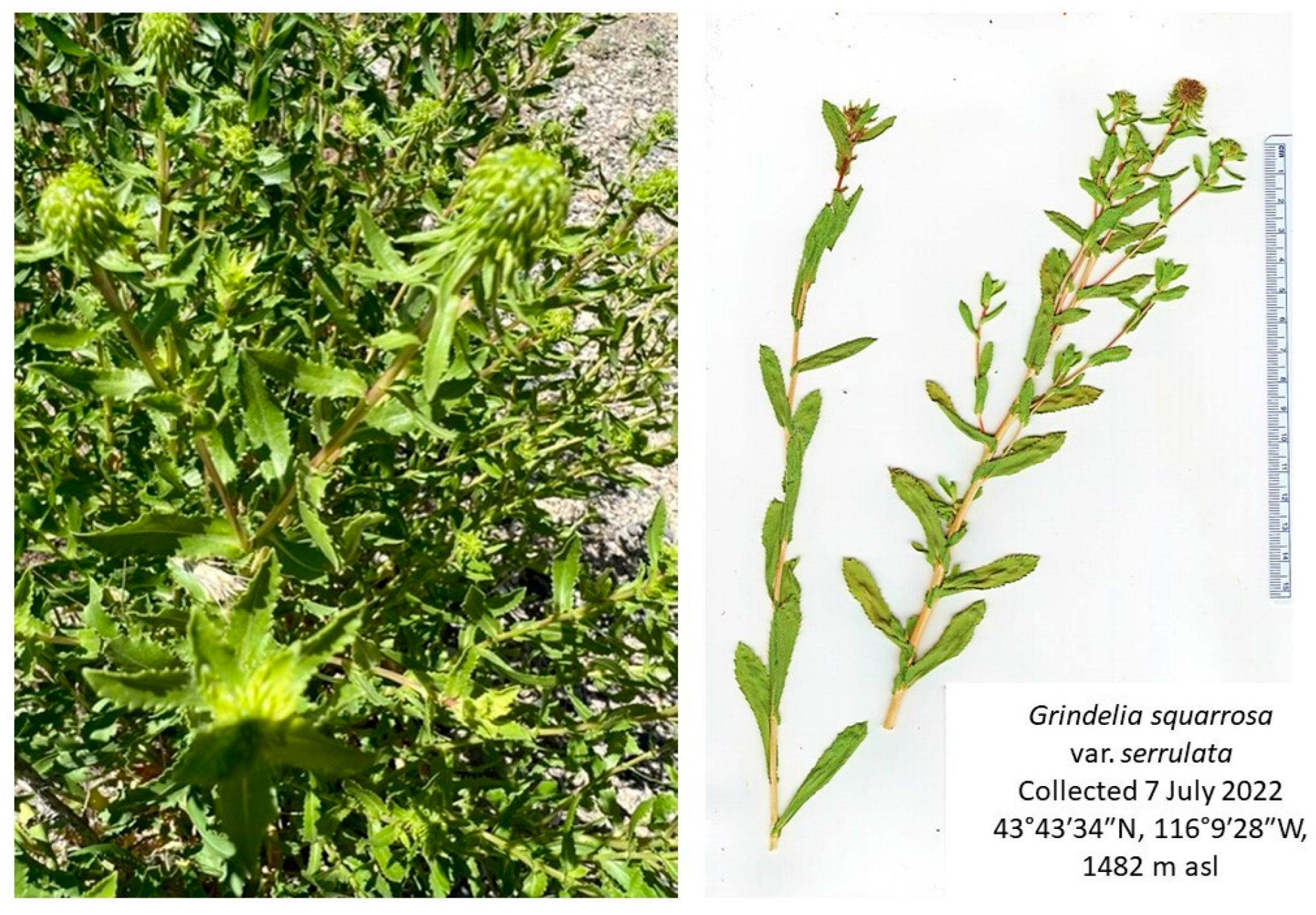 Molecules 28 03854 g001 Molecules 28 03854 g001