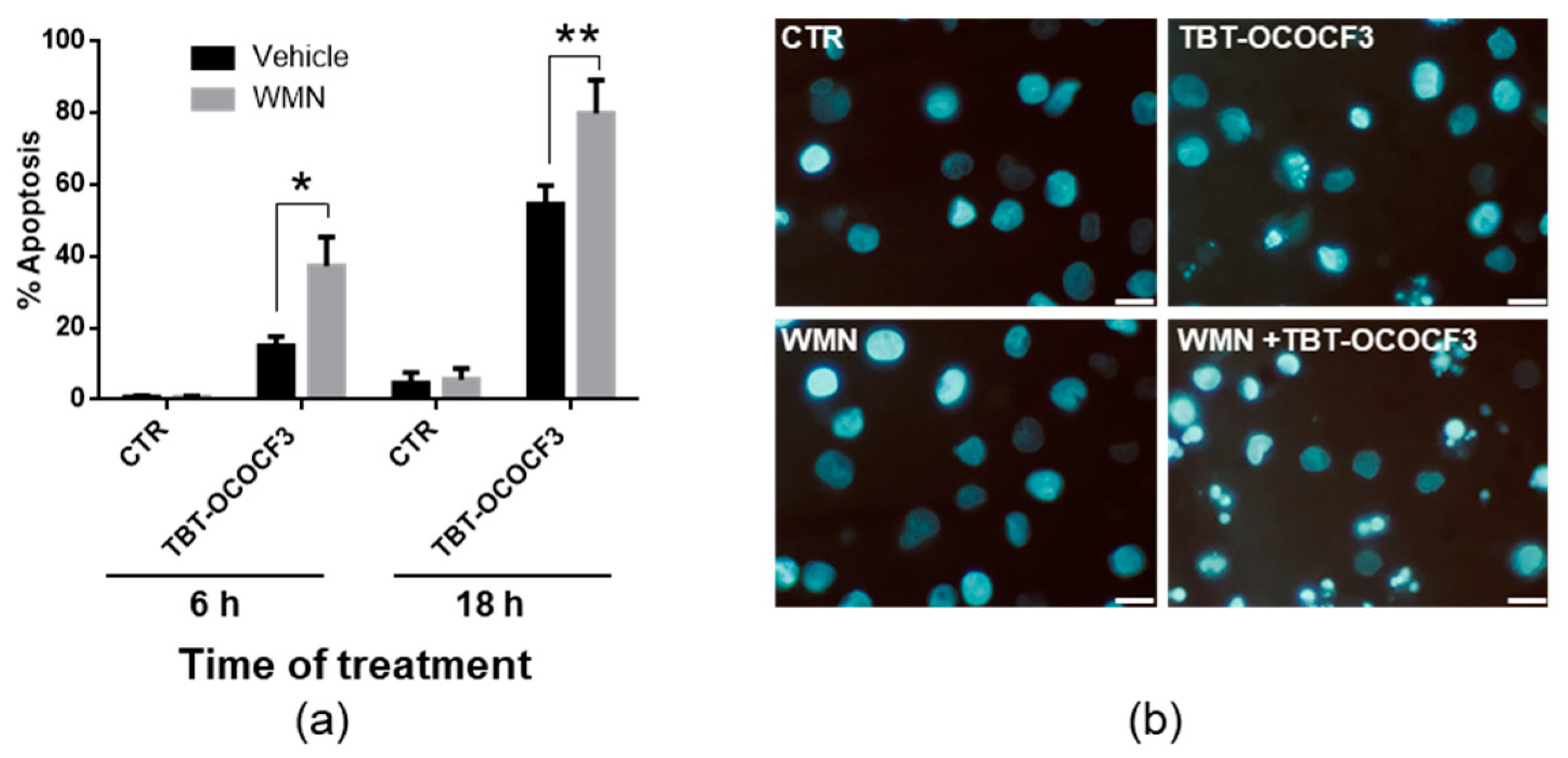 Molecules 28 03856 g005 Molecules 28 03856 g005