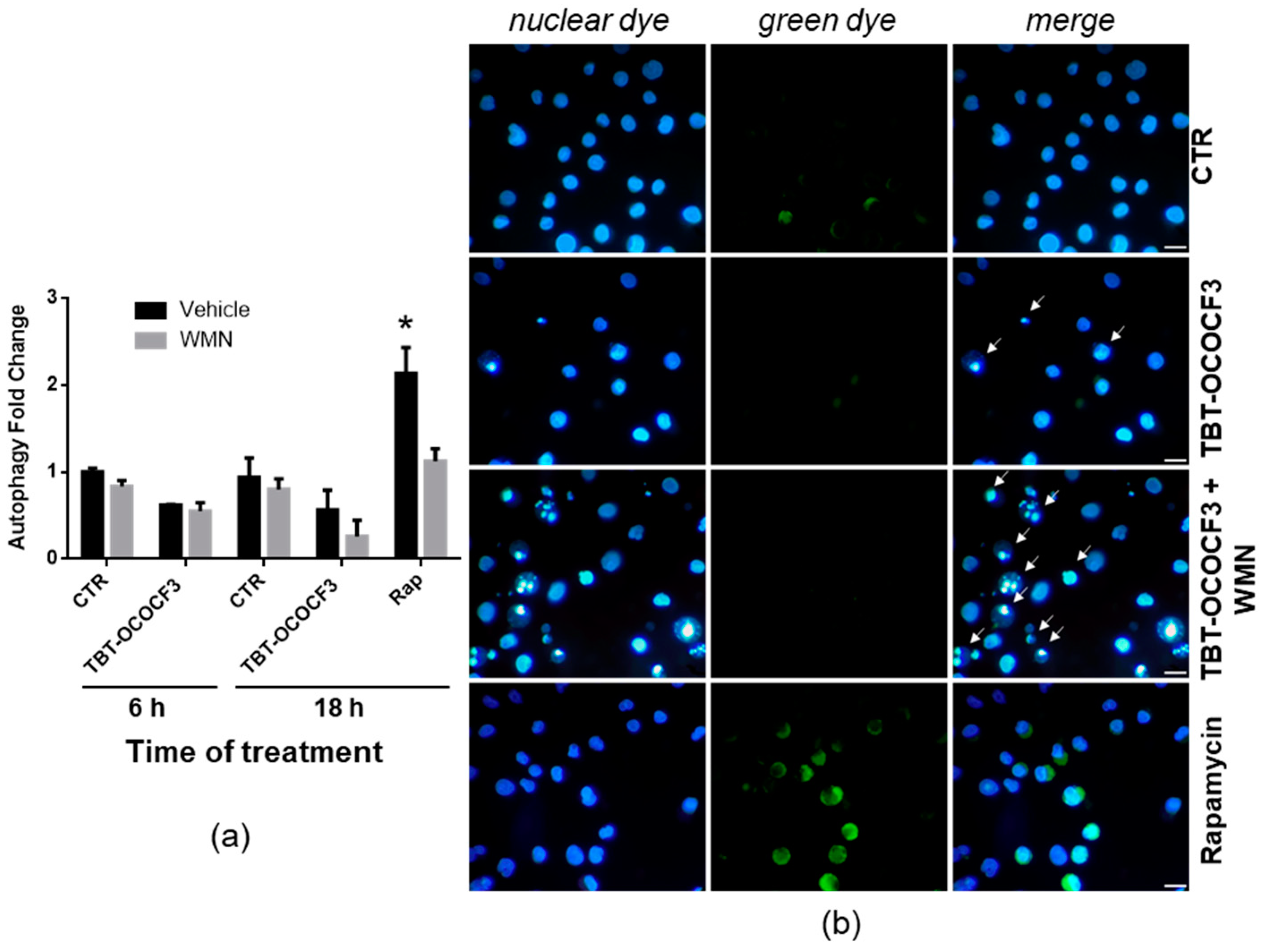 Molecules 28 03856 g006 Molecules 28 03856 g006