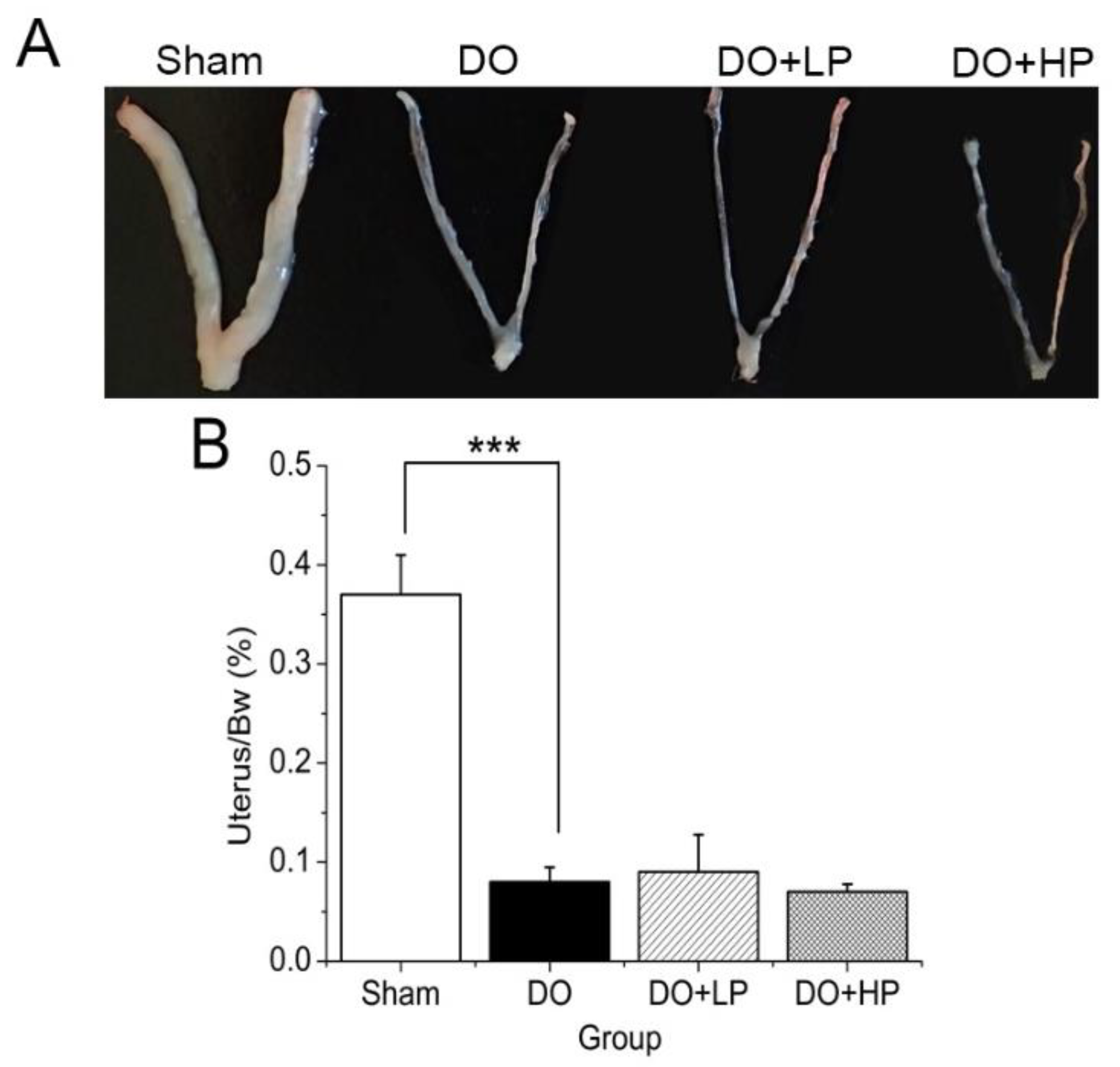 Molecules 28 03870 g001
