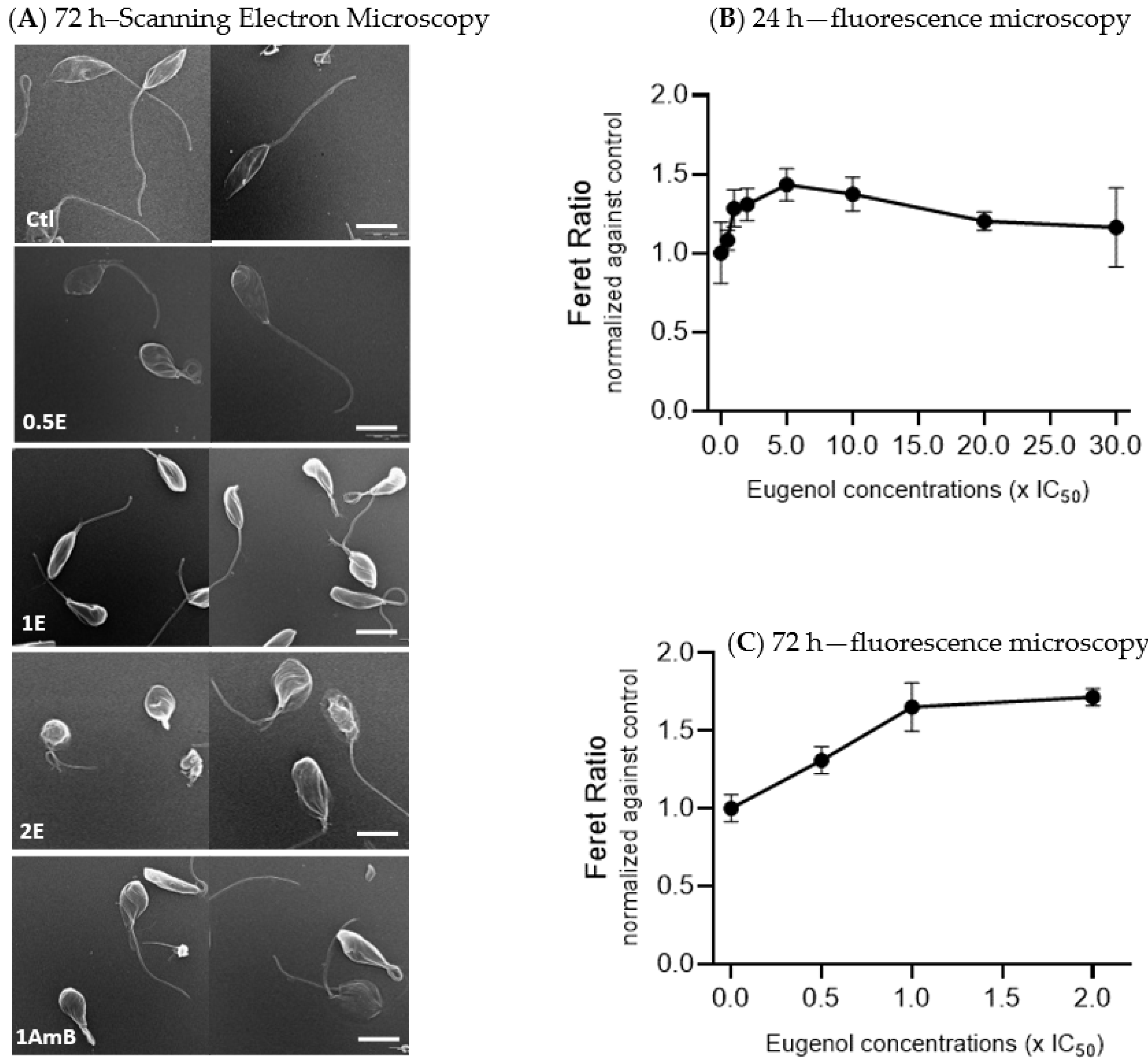 Molecules 28 03871 g001