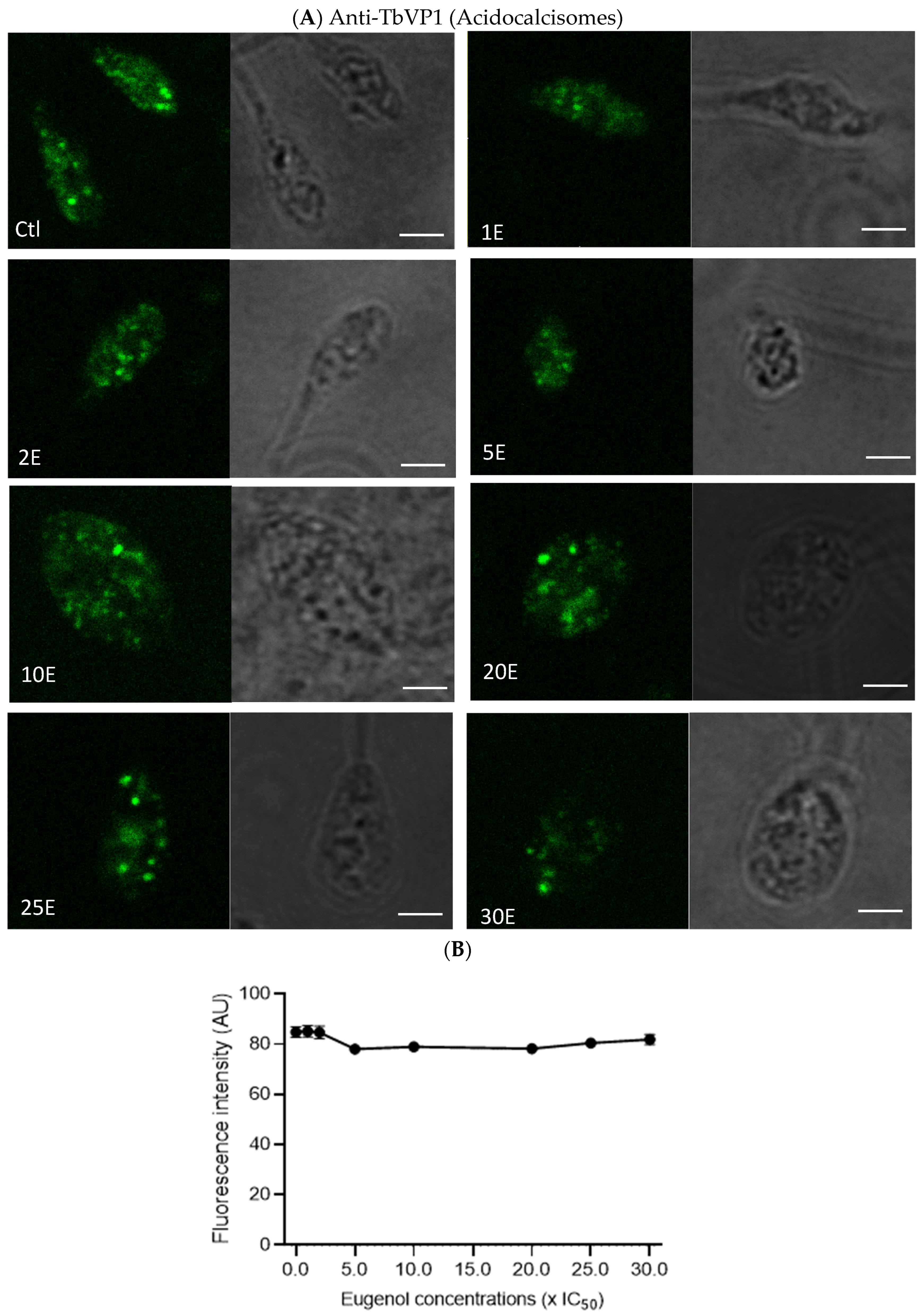 Molecules 28 03871 g007