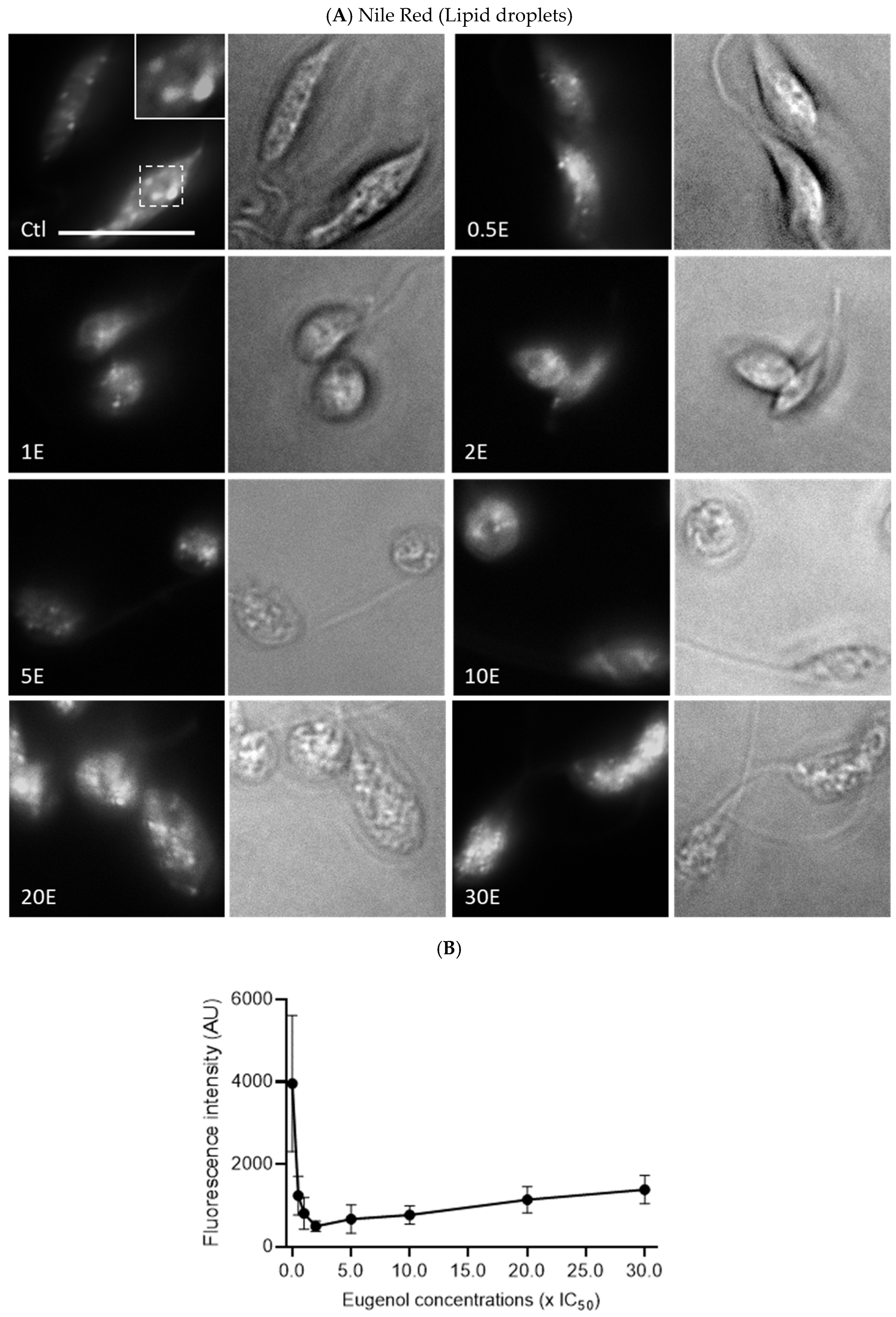 Molecules 28 03871 g008