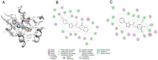 Design, Synthesis, and Biological Evaluation of