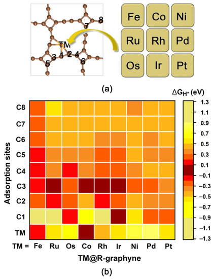 Theoretical Investigation of HER and OER Electrocatalysts