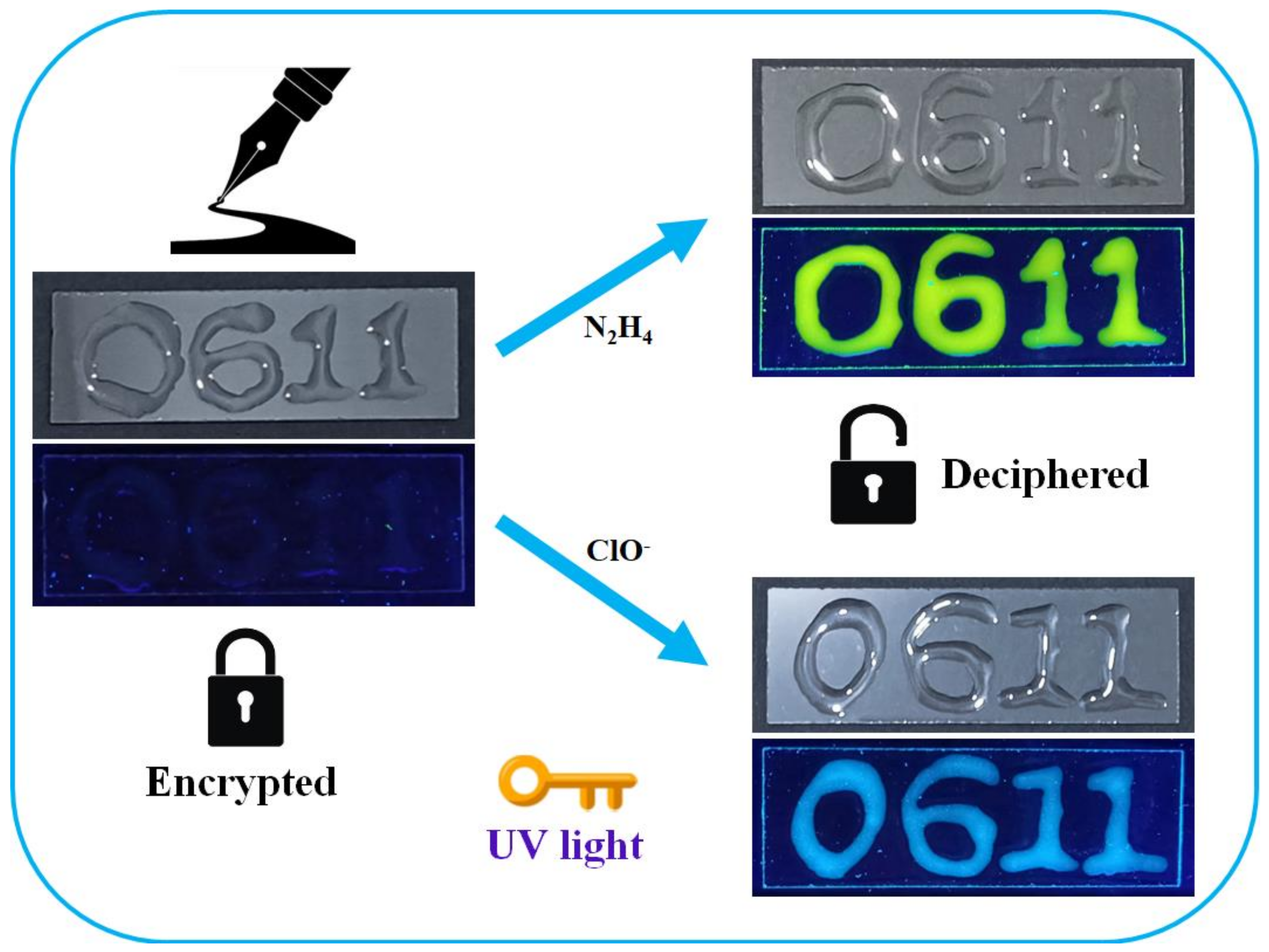 Molecules 28 03896 g009 Molecules 28 03896 g009