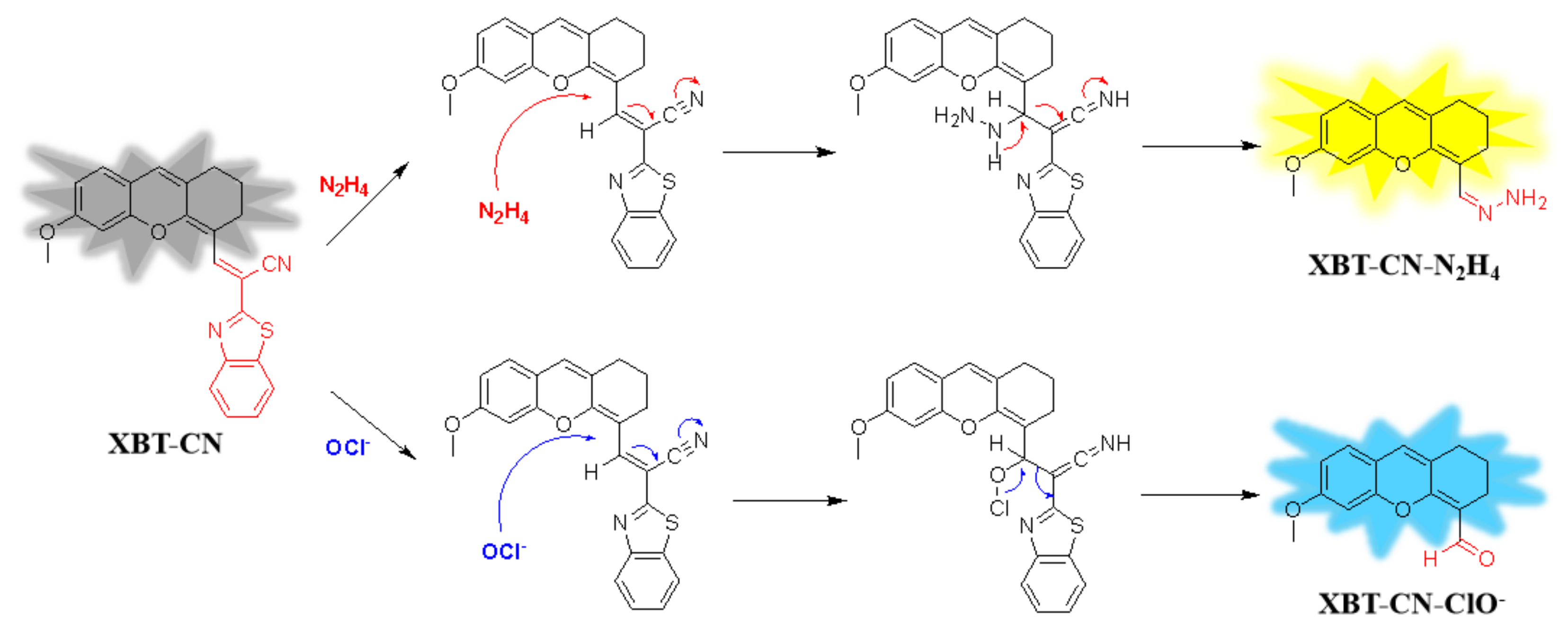 Molecules 28 03896 sch002 Molecules 28 03896 sch002