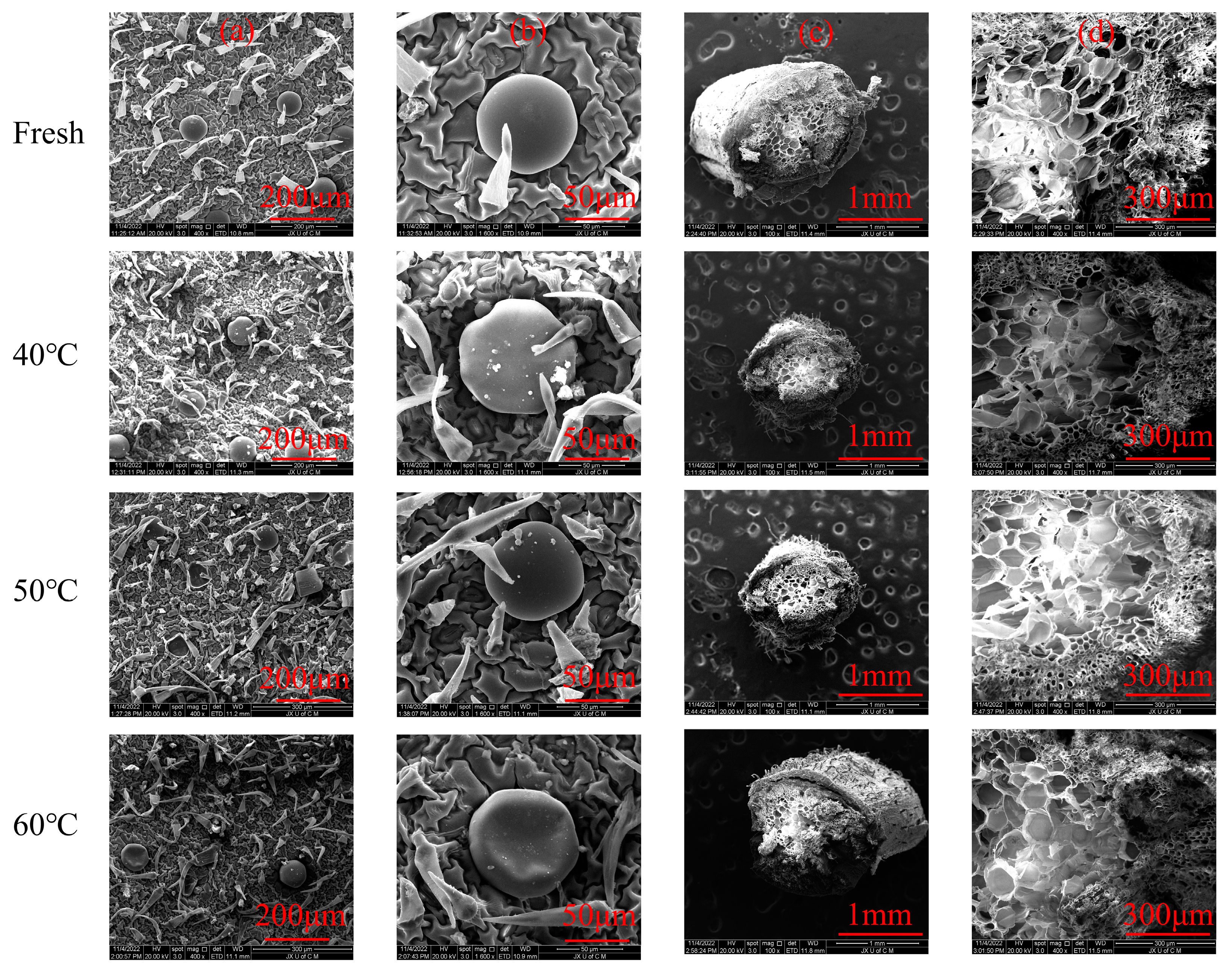 Molecules 28 03898 g002