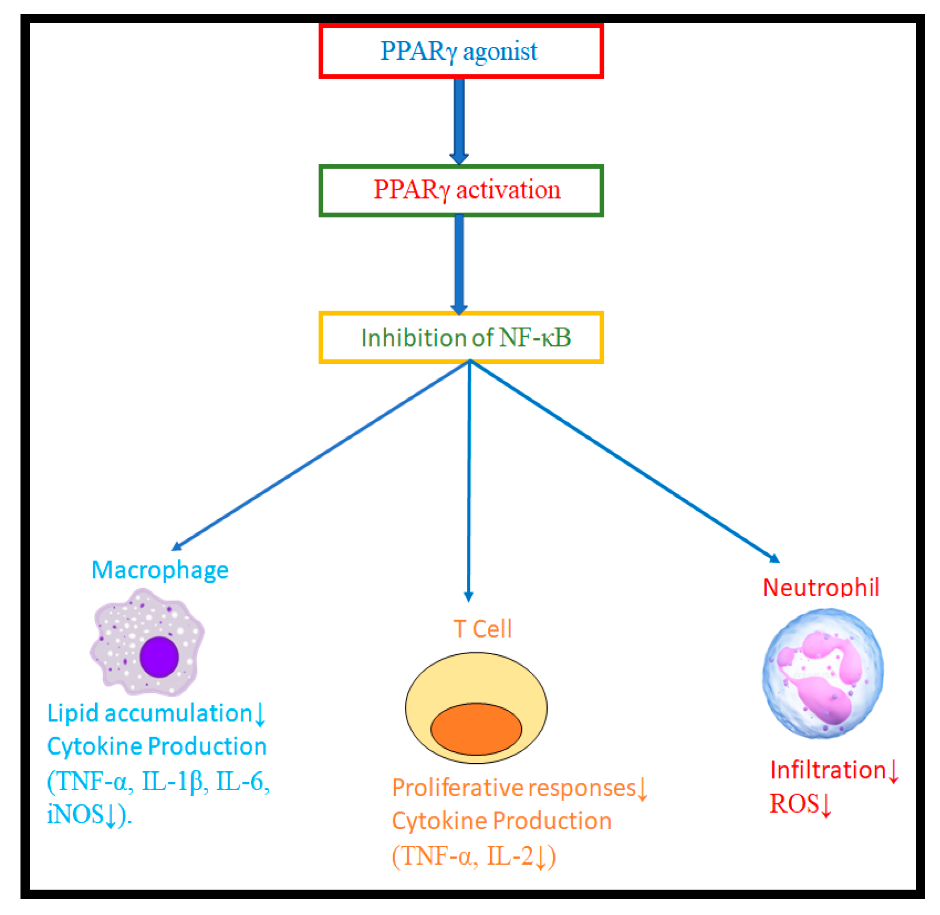 Molecules 28 03899 g001