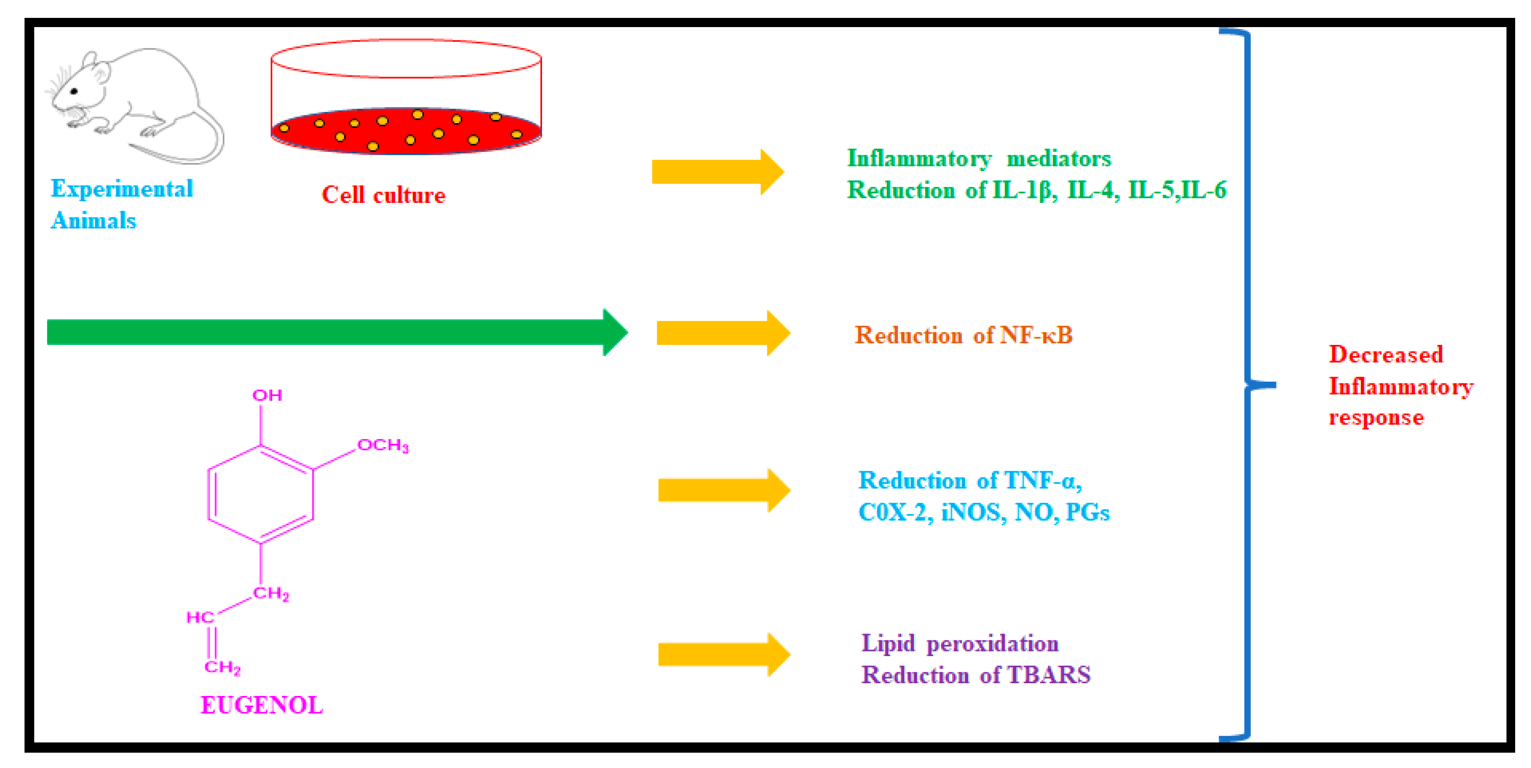 Molecules 28 03899 g002