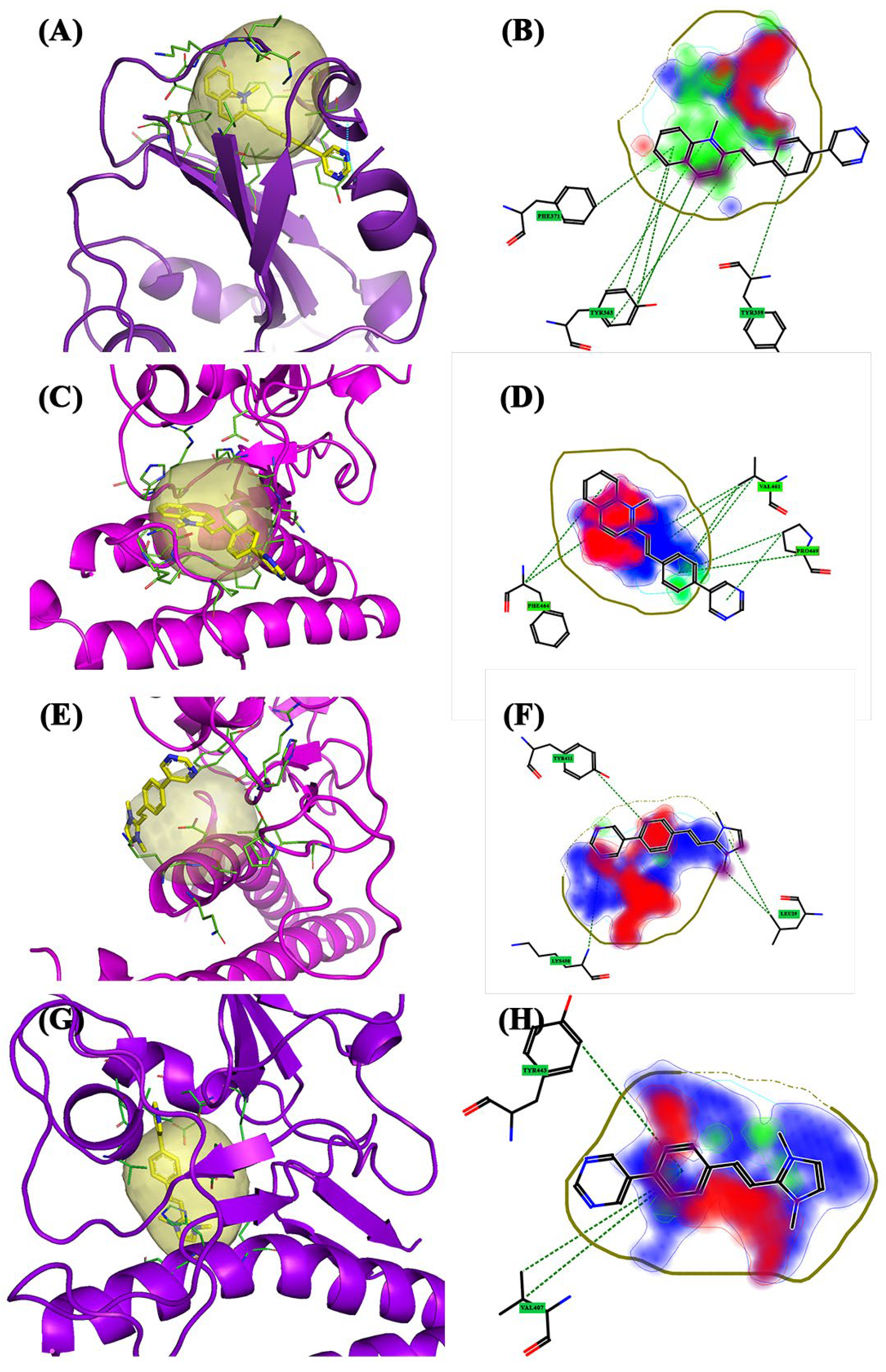 Molecules 28 03908 g006