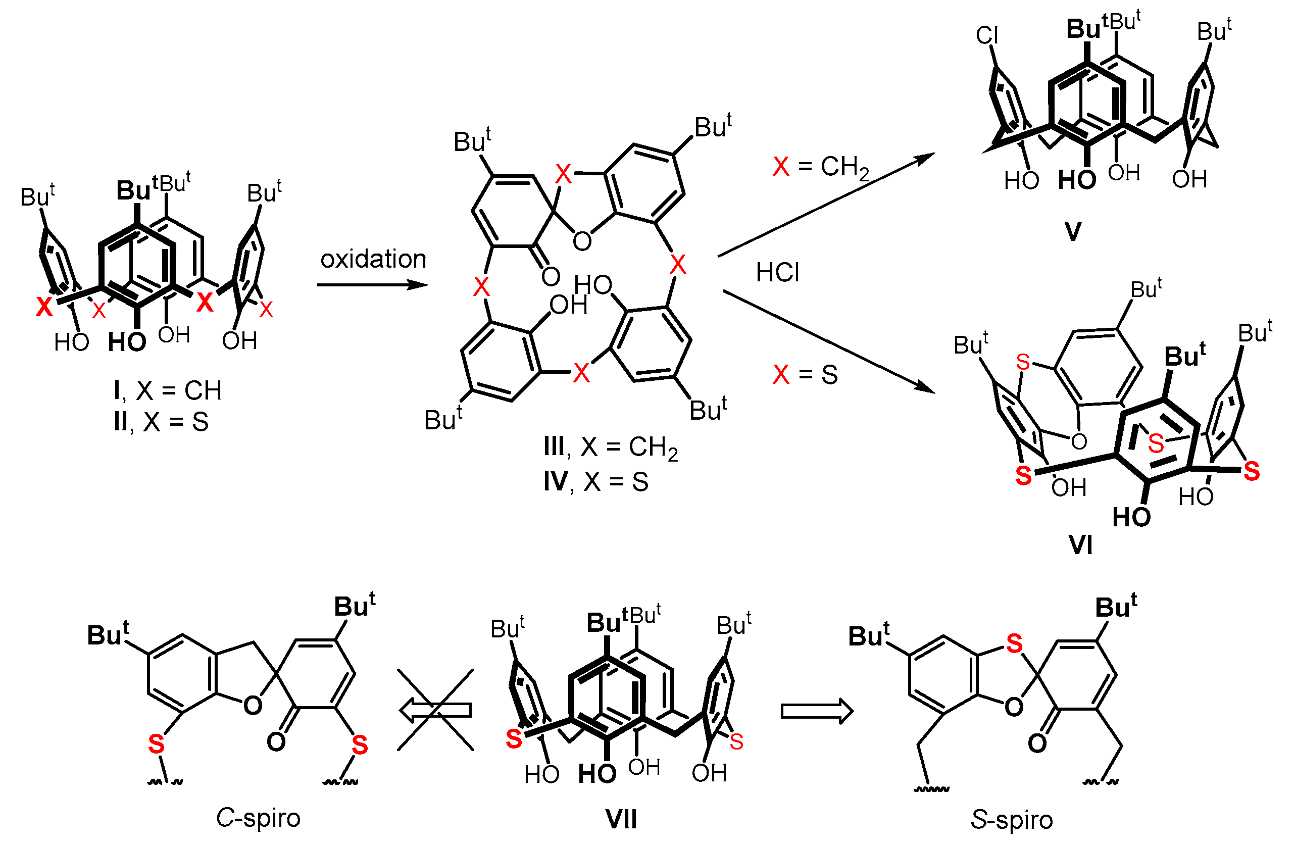 Molecules 28 03914 g001 Molecules 28 03914 g001