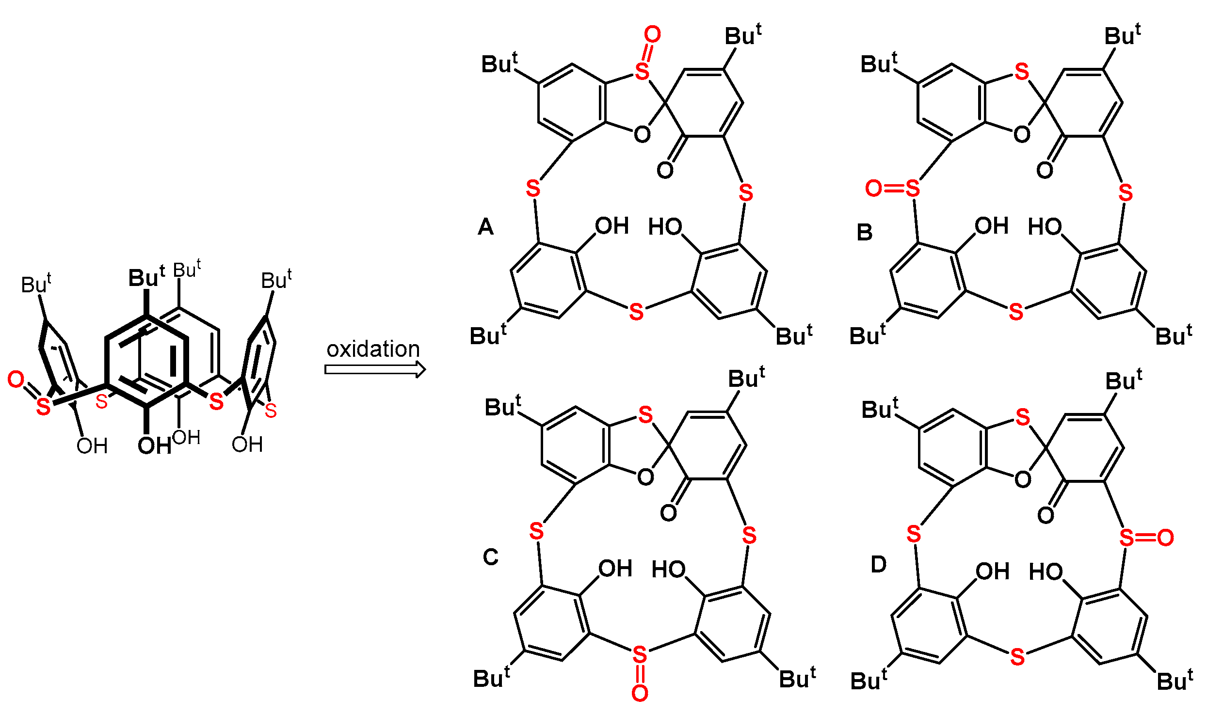 Molecules 28 03914 g002 Molecules 28 03914 g002