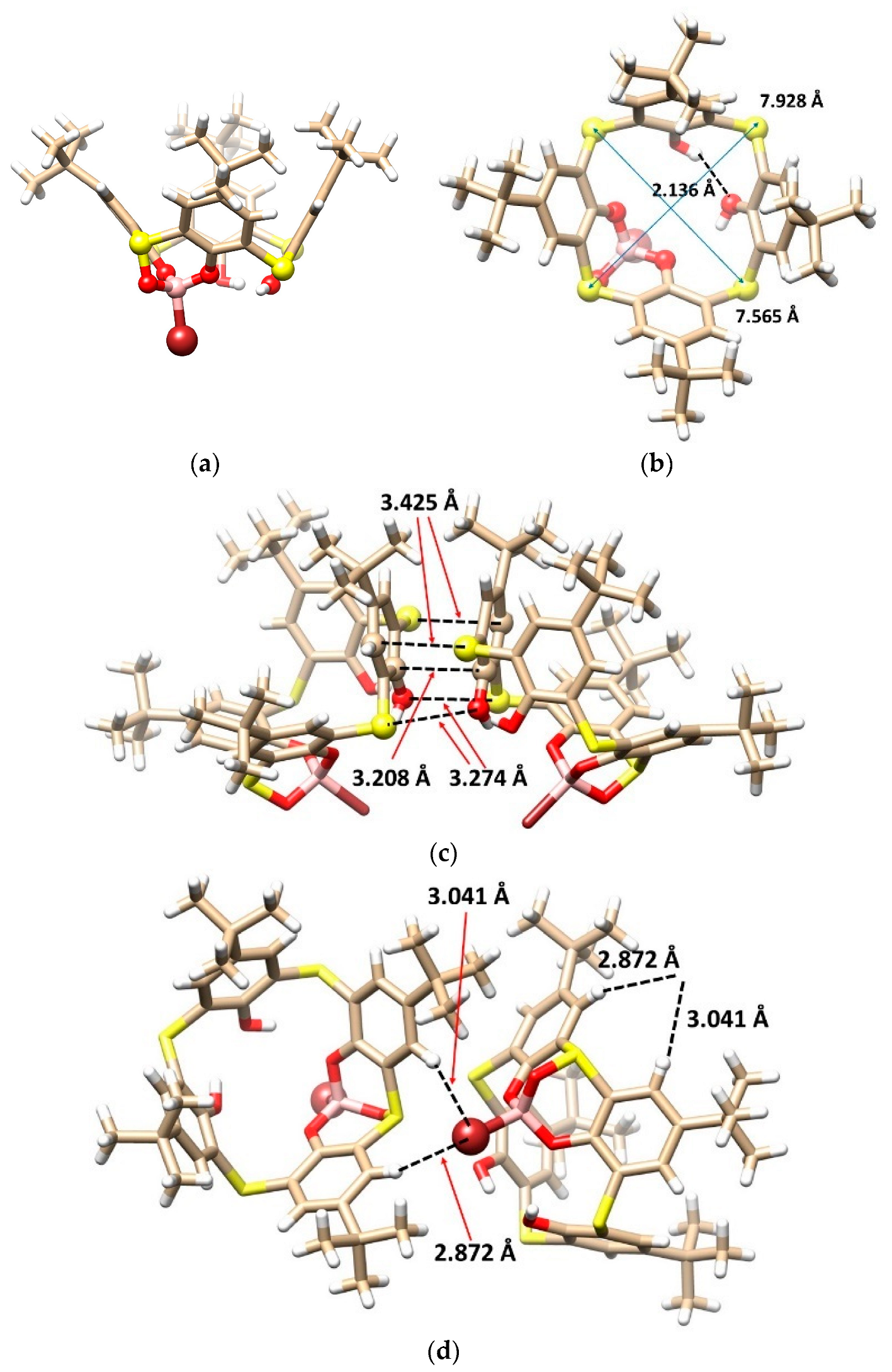 Molecules 28 03914 g003 Molecules 28 03914 g003