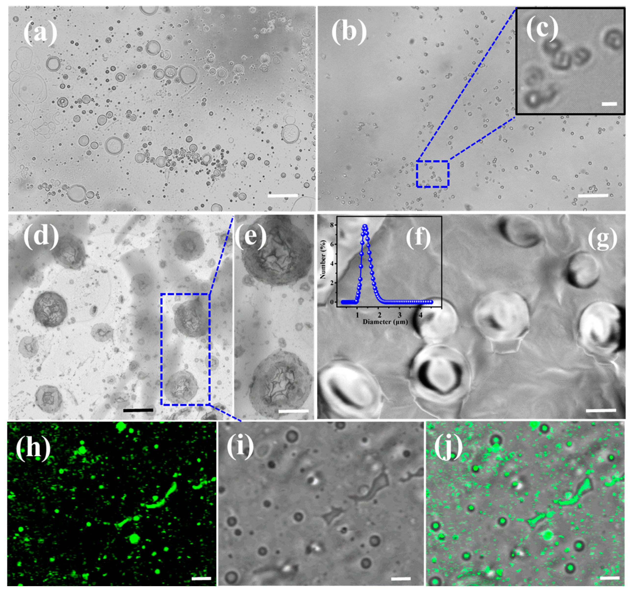 Molecules 28 03929 g001 Molecules 28 03929 g001
