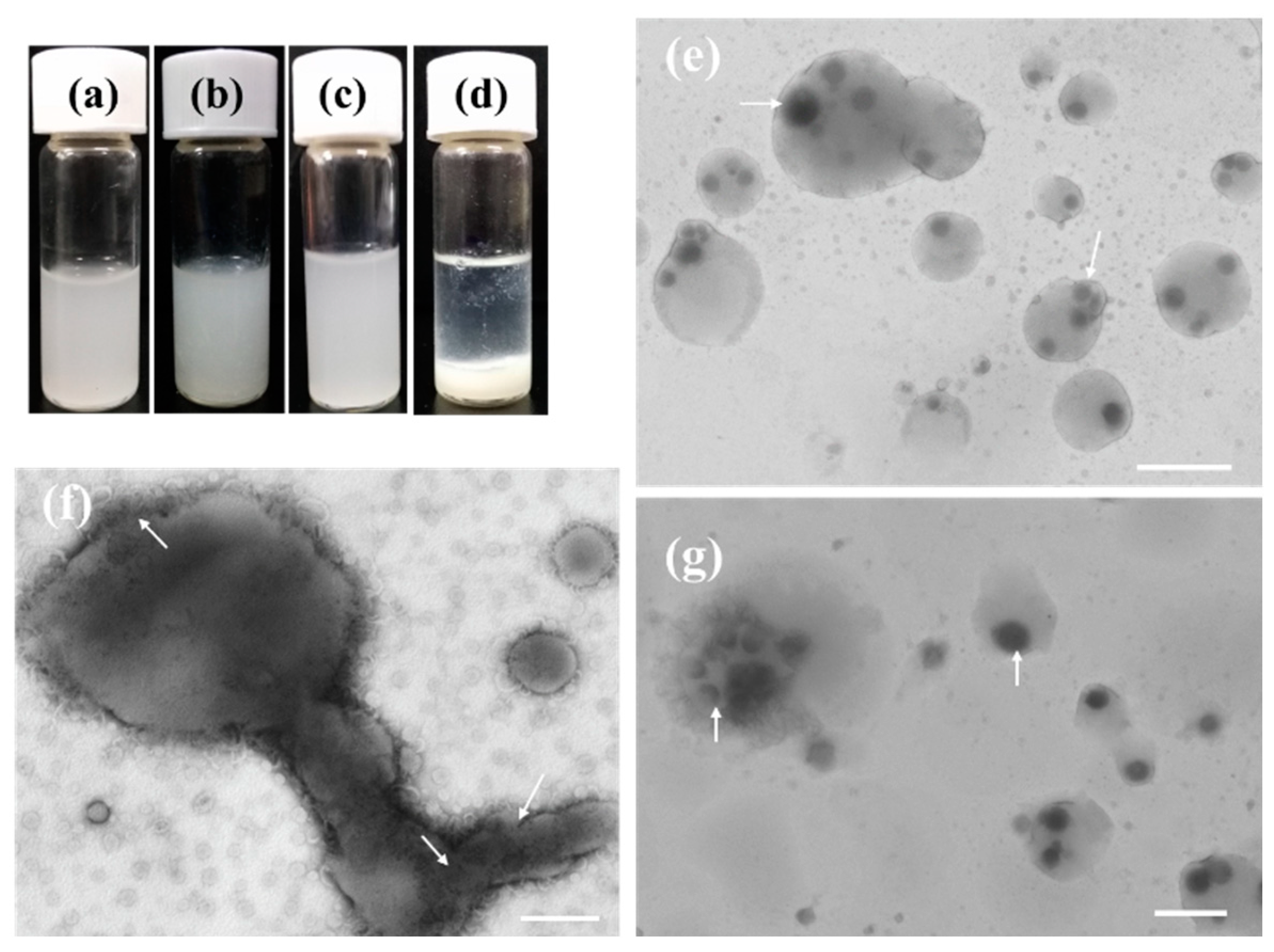 Molecules 28 03929 g007 Molecules 28 03929 g007