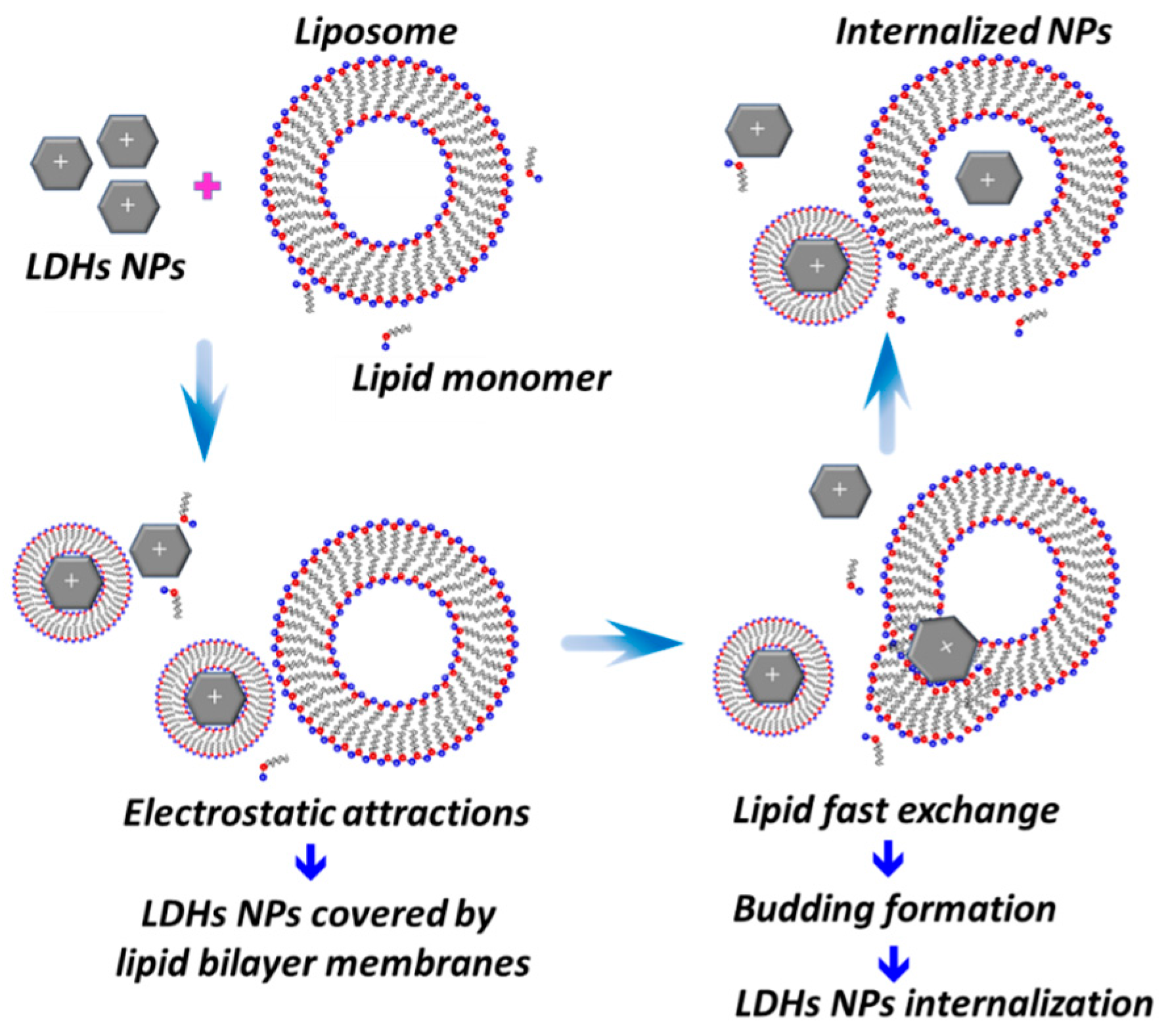 Molecules Free FullText Interactions between Layered Double