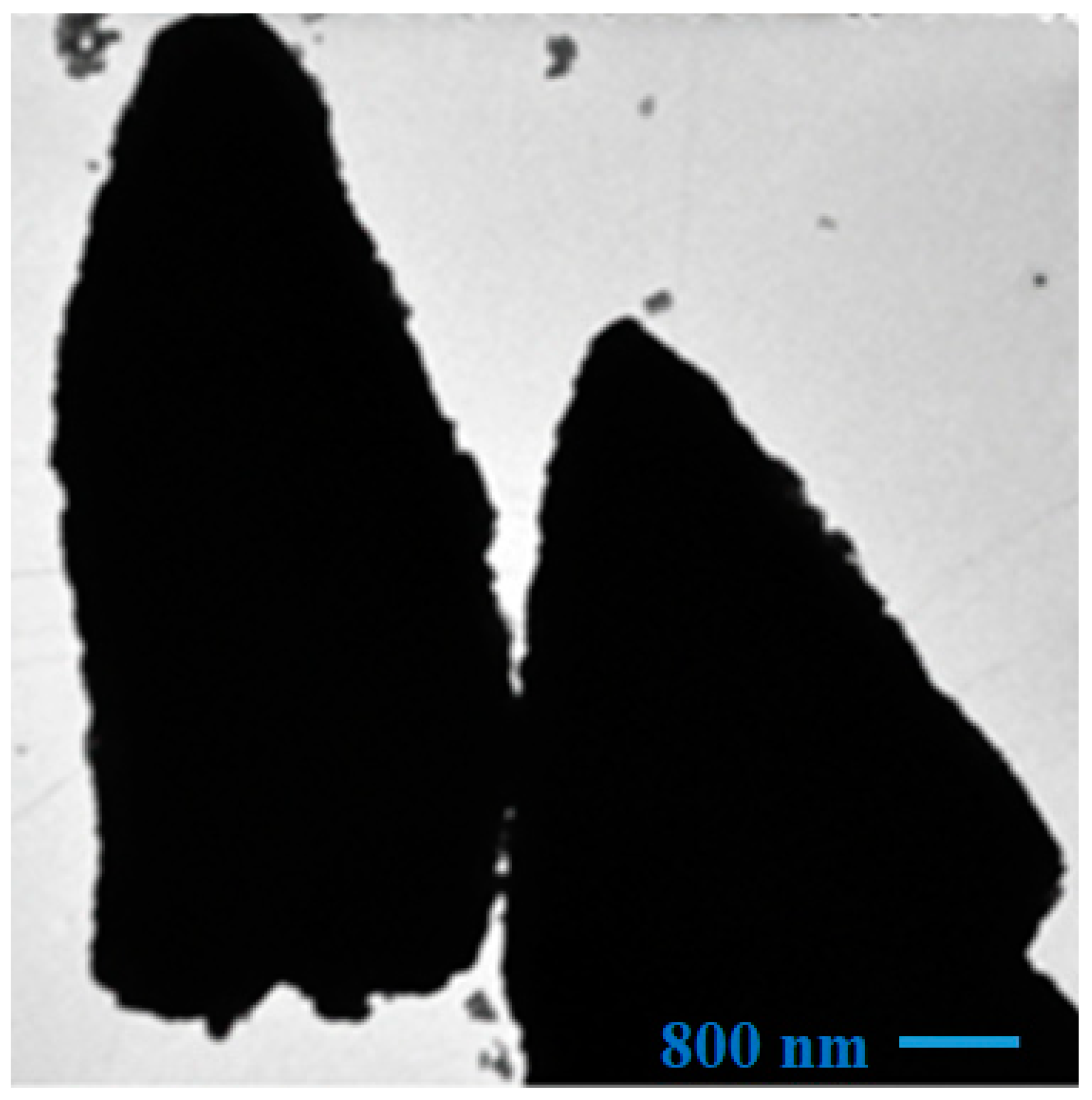 Molecules 28 03932 g003