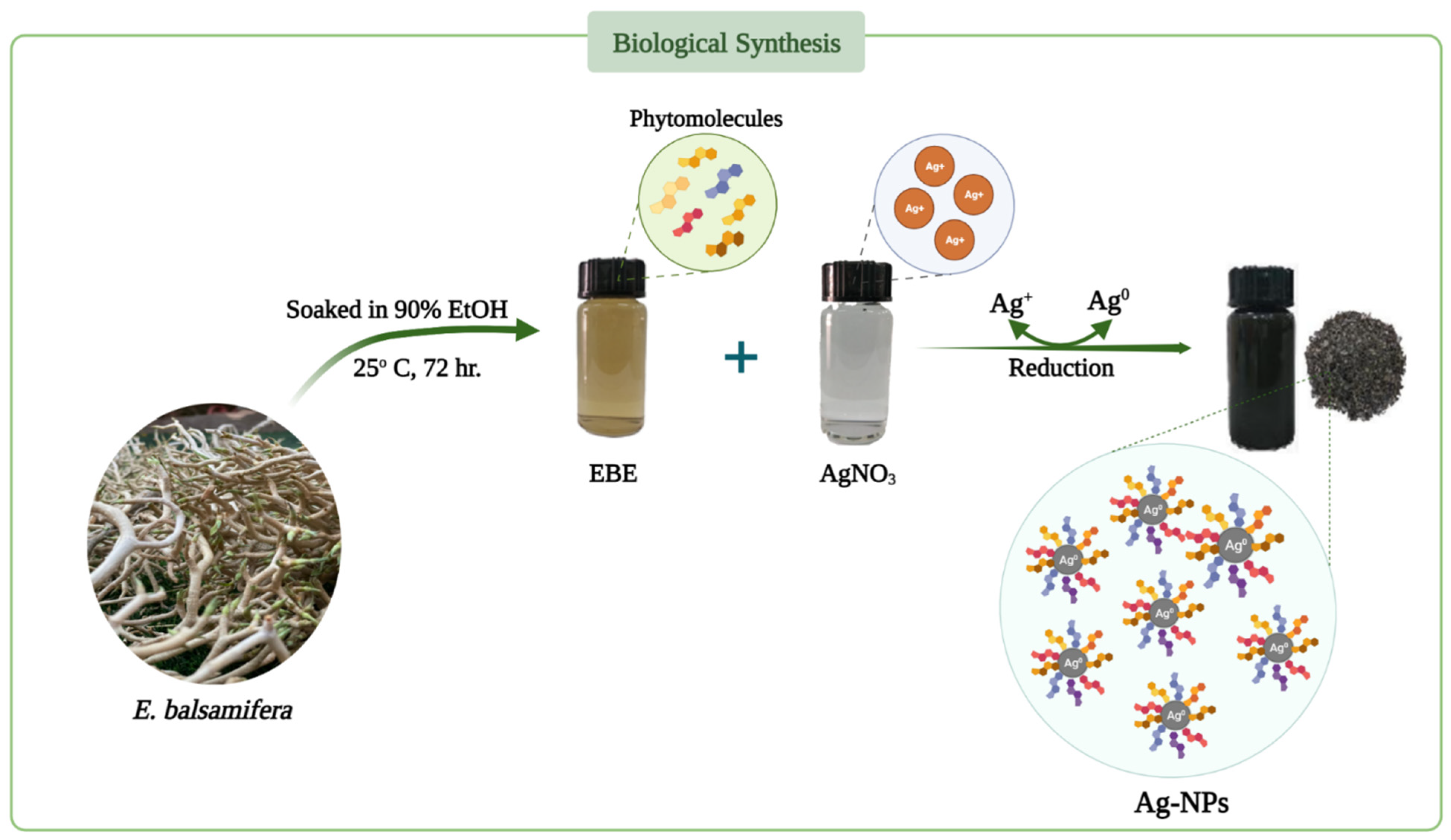 Molecules 28 03934 g016 Molecules 28 03934 g016