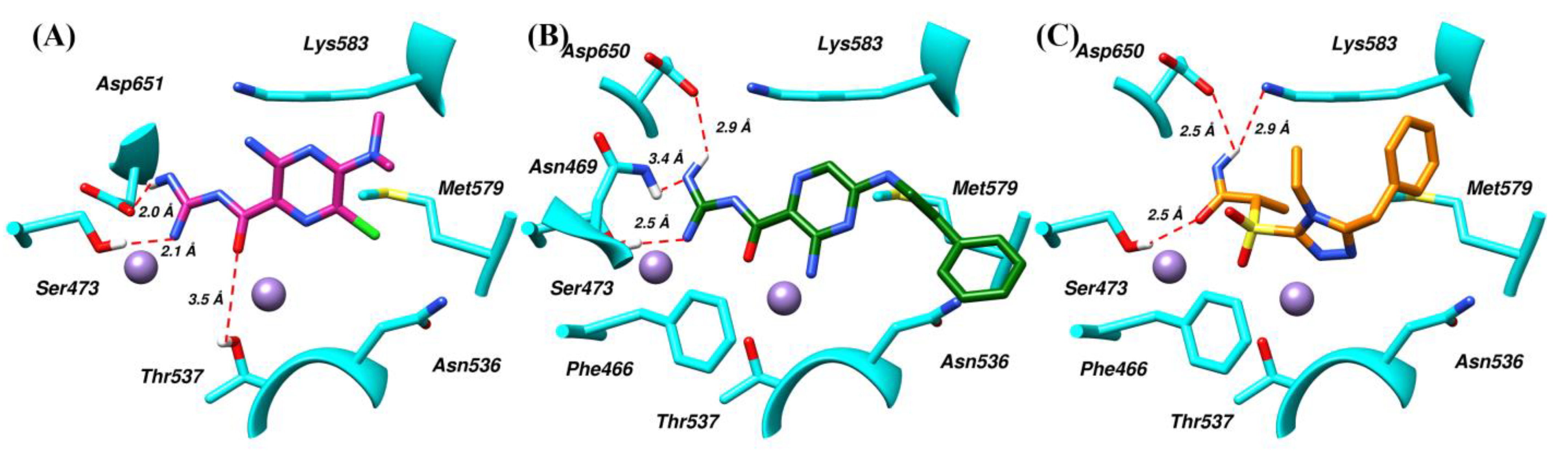 Molecules 28 03938 g005