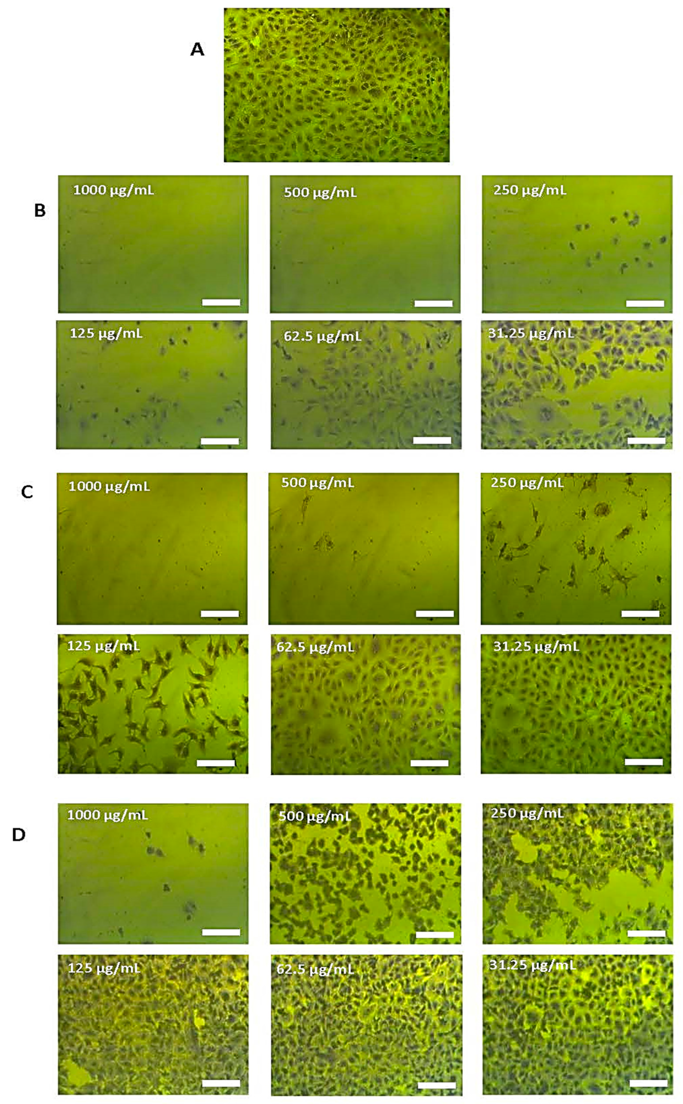 Molecules 28 03939 g009