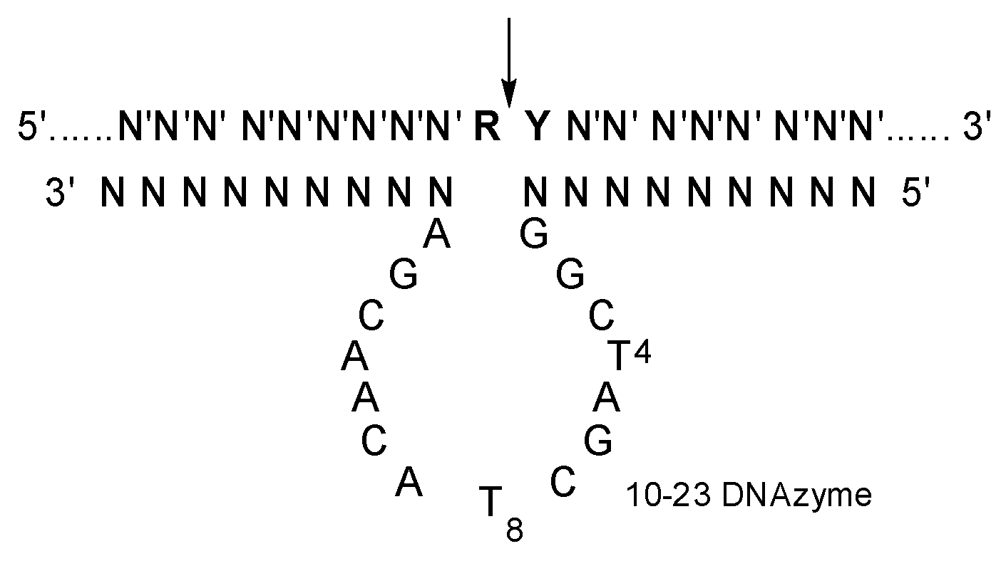 Molecules 28 03942 g001