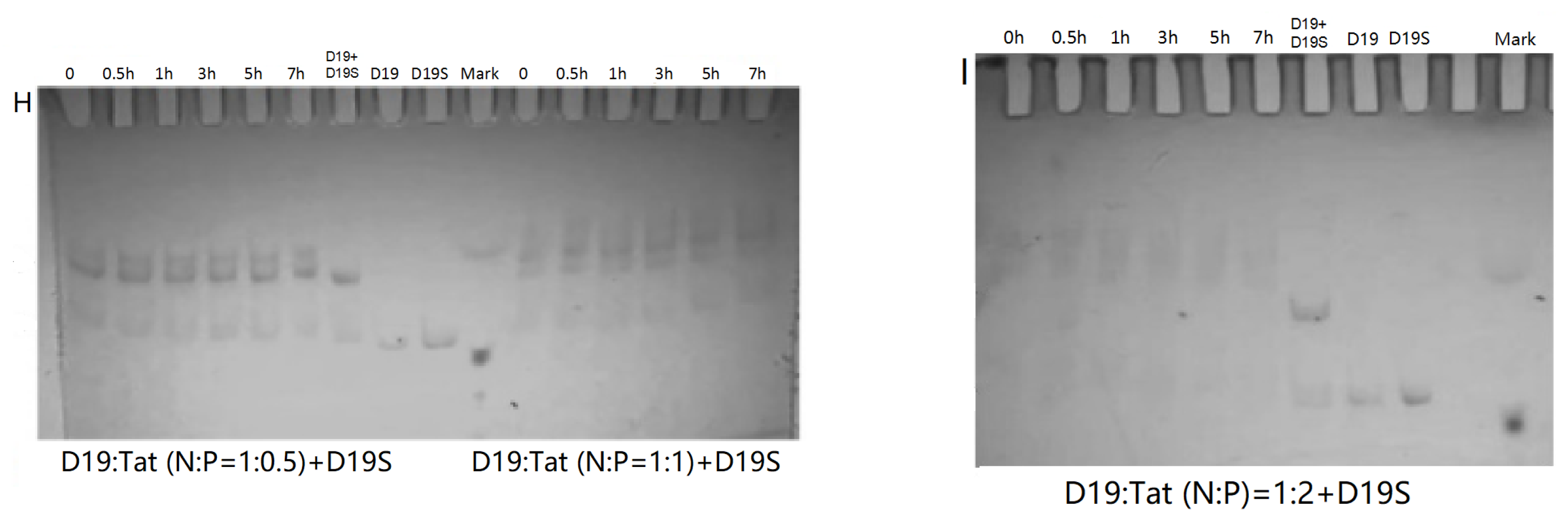Molecules 28 03942 g004b