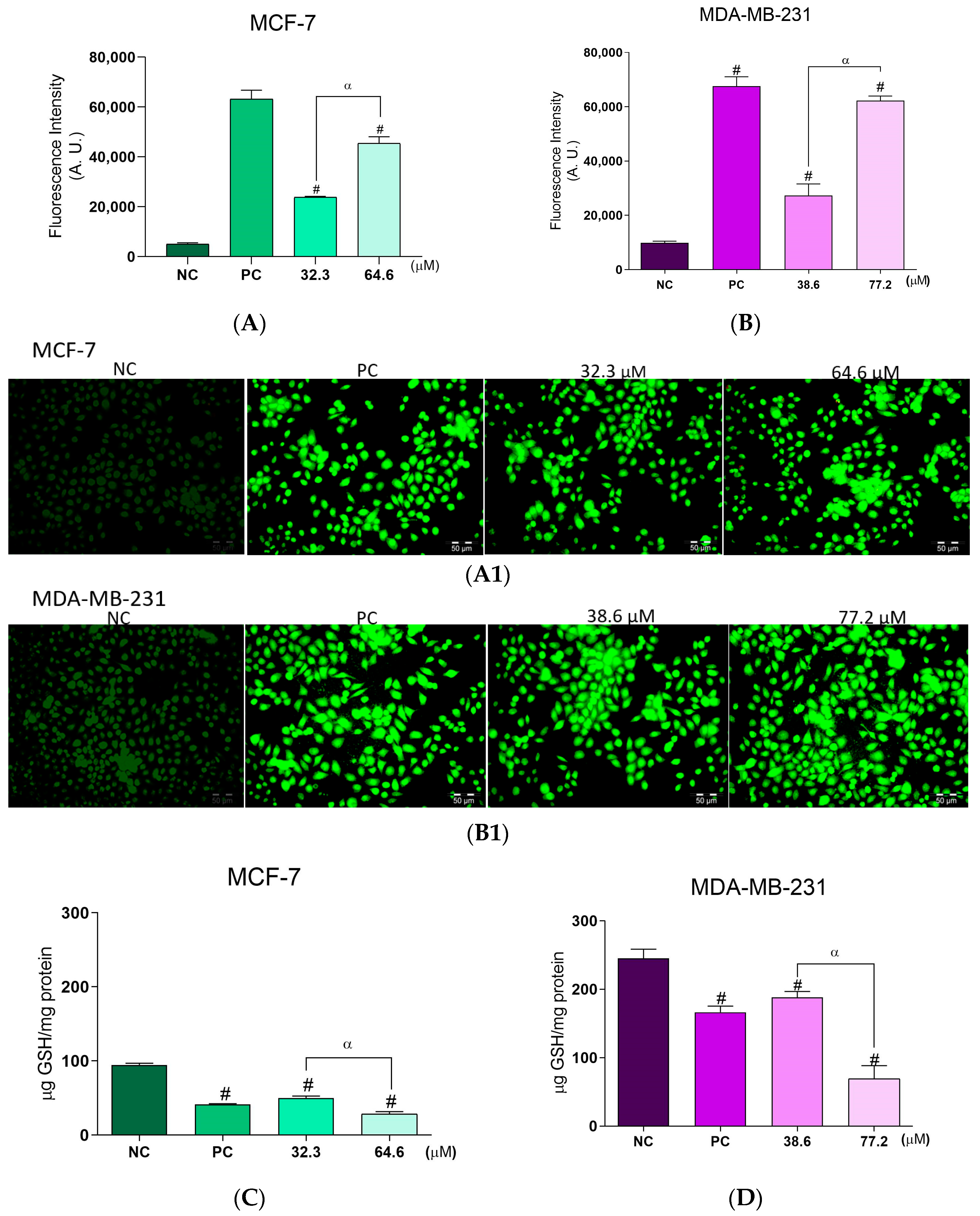 Molecules 28 03949 g003