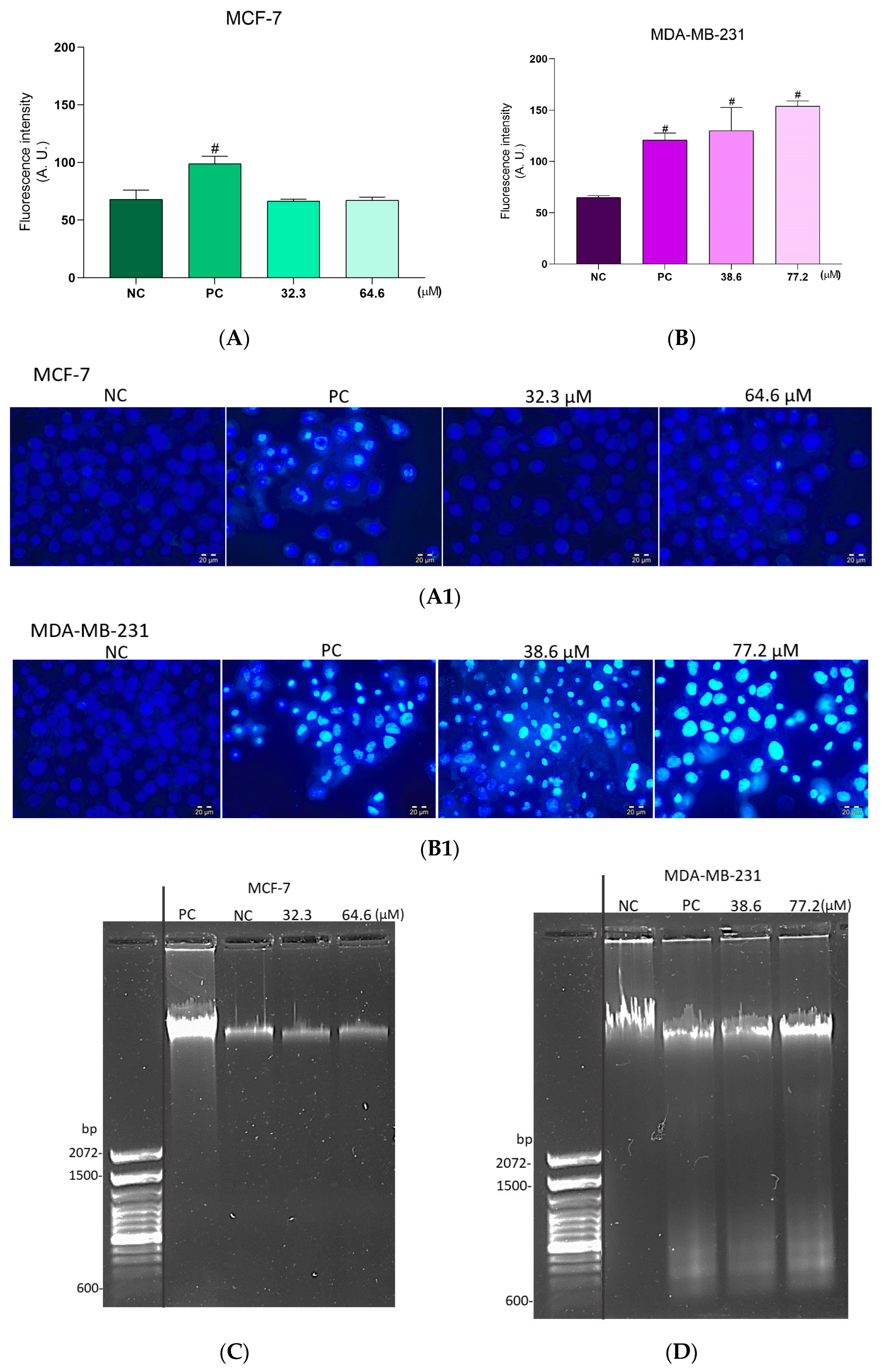 Molecules 28 03949 g007