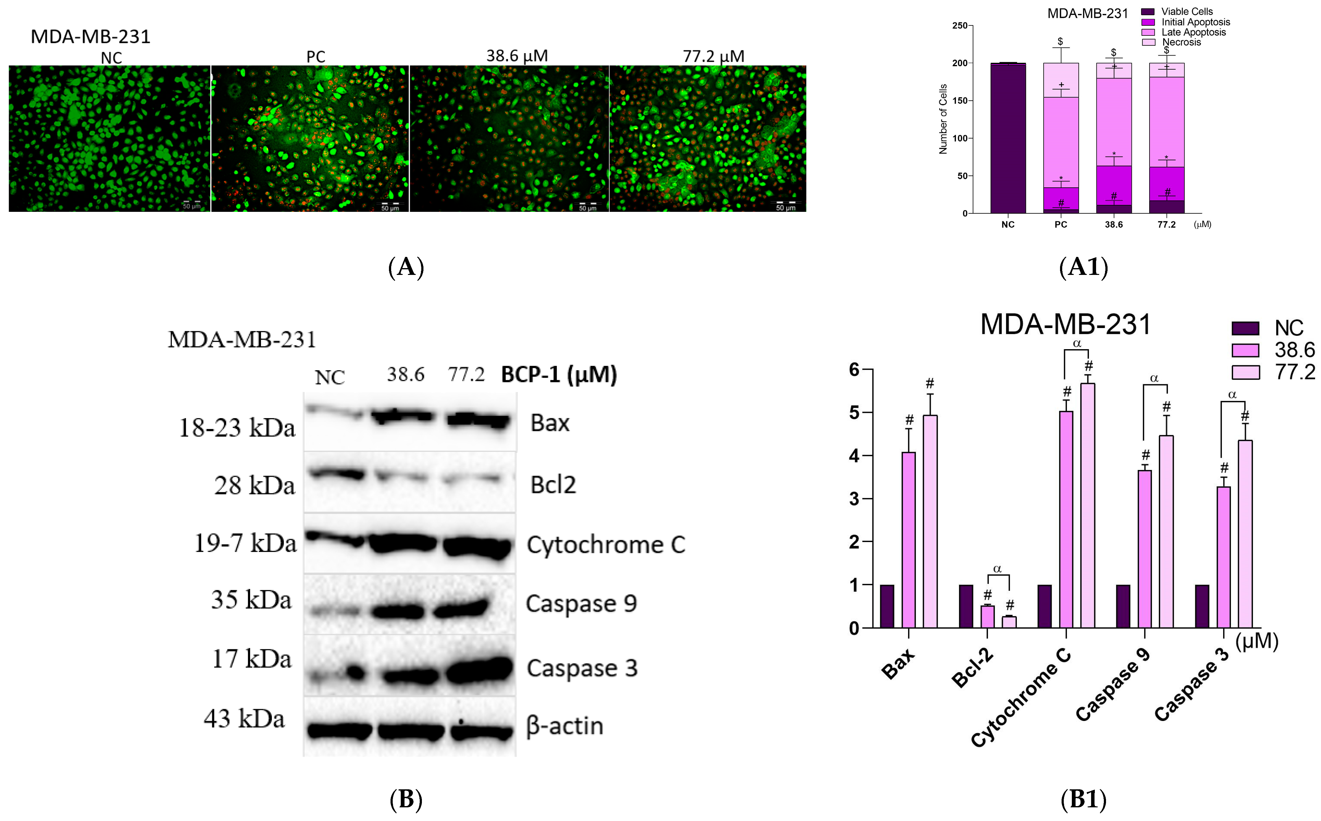 Molecules 28 03949 g009