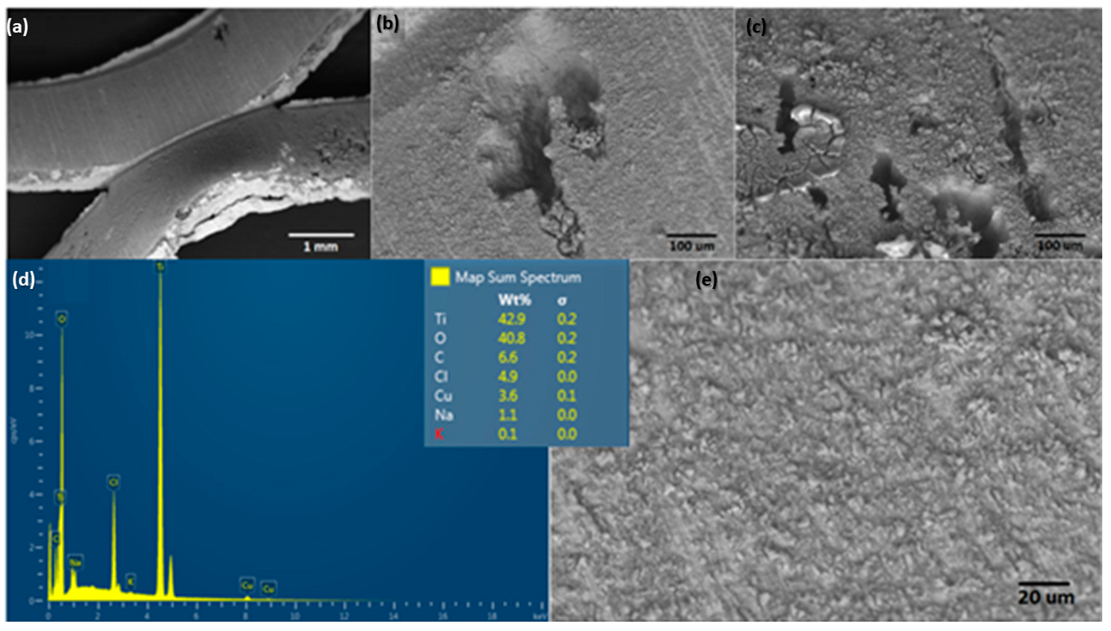 Molecules 28 03954 g009