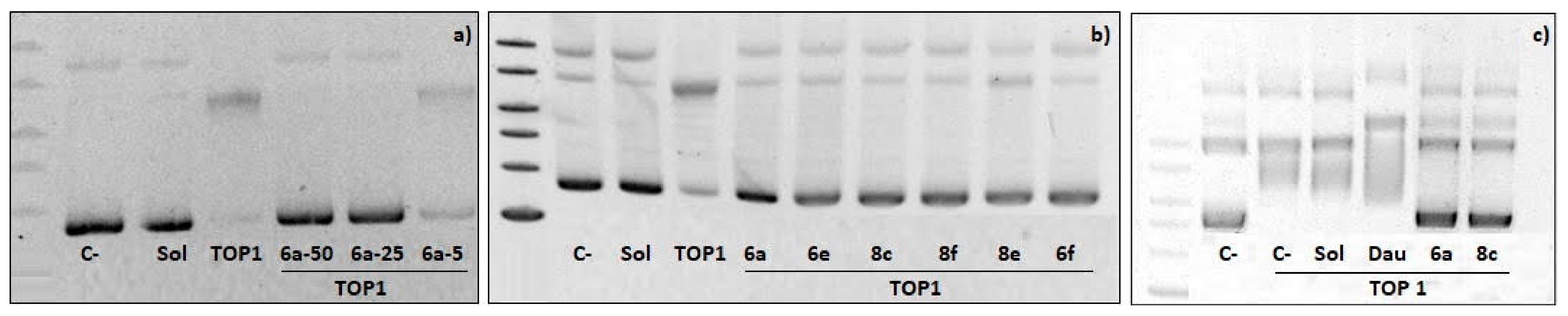 Molecules 28 03959 g004 Molecules 28 03959 g004
