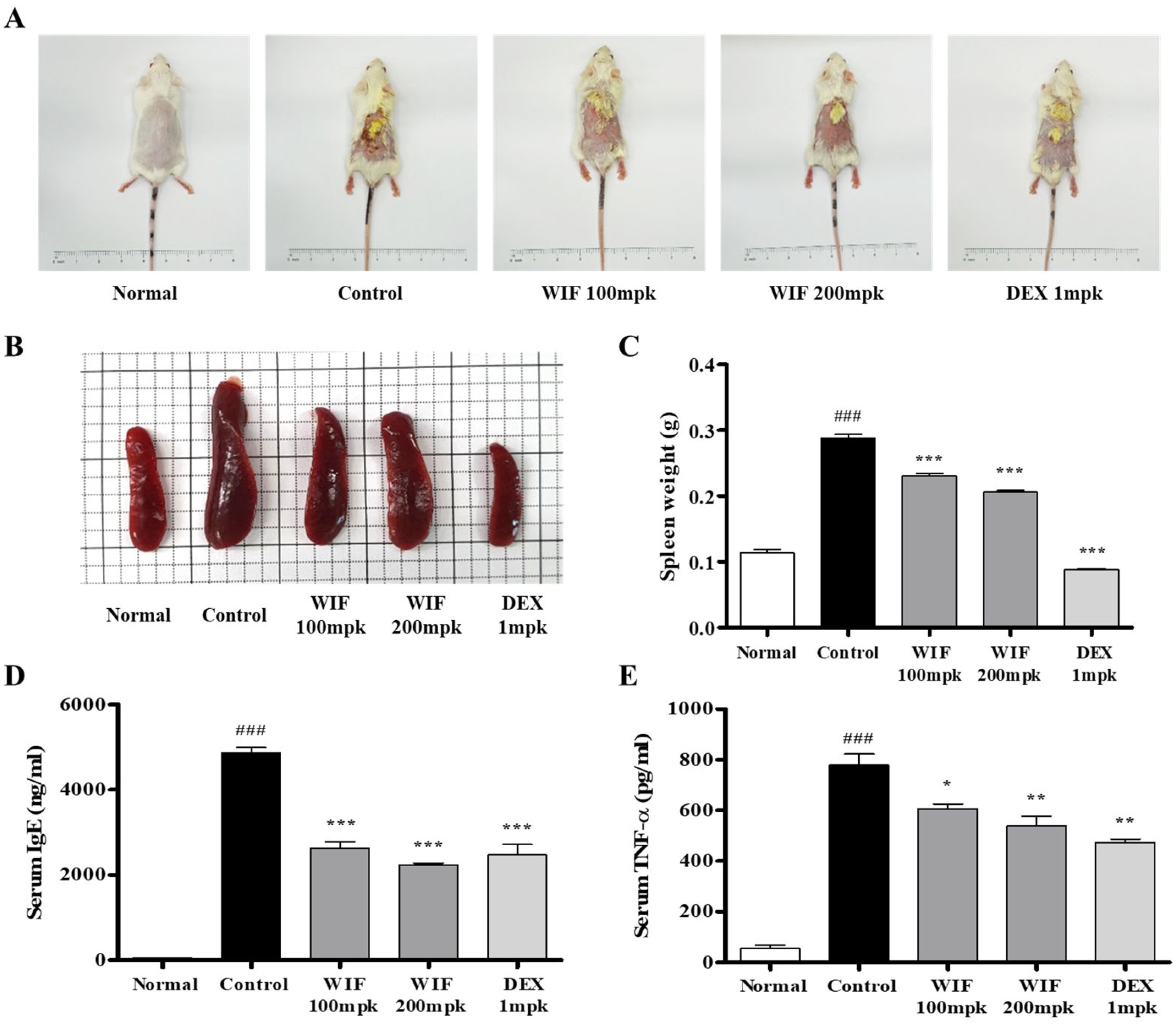 Molecules 28 03960 g001