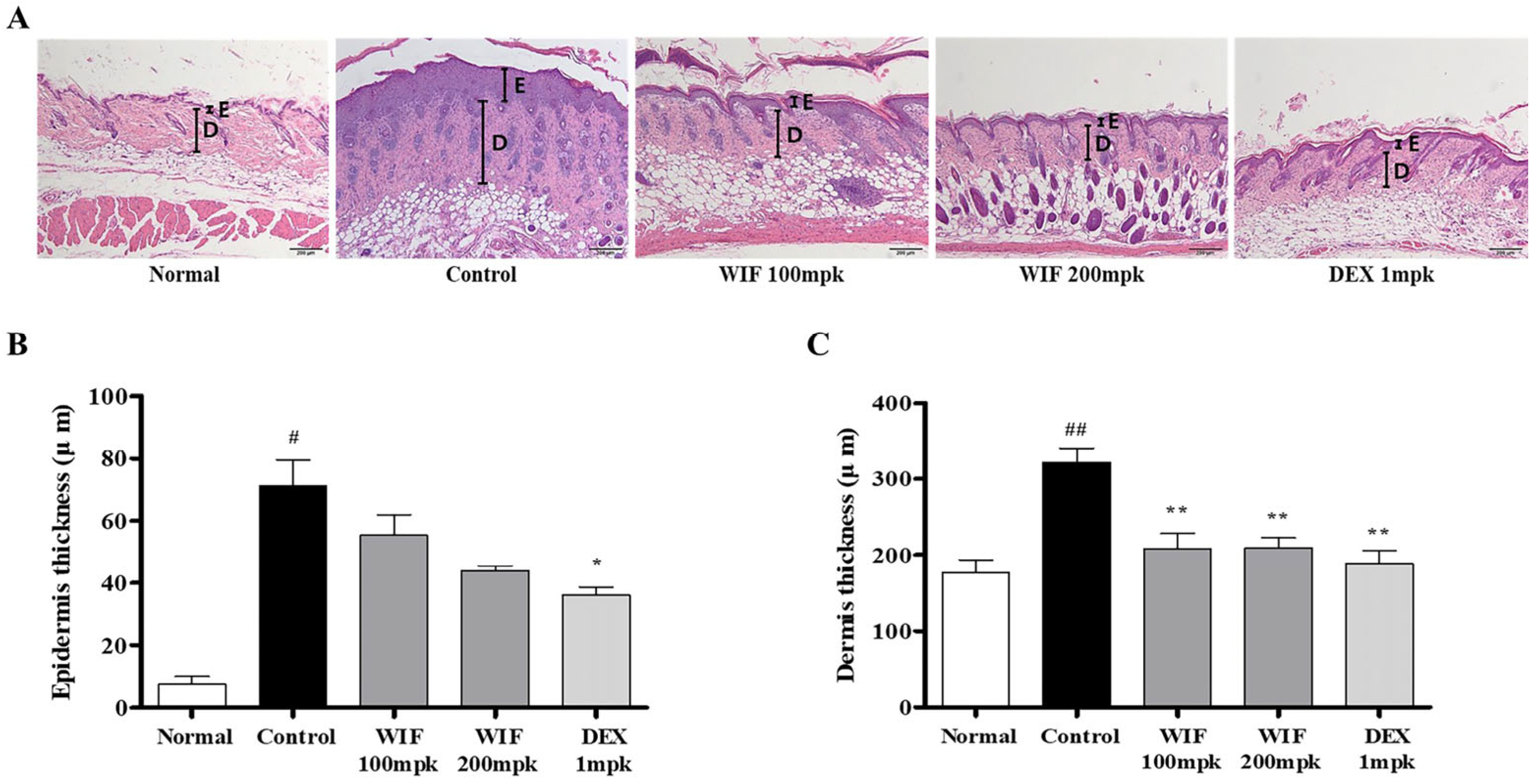 Molecules 28 03960 g002