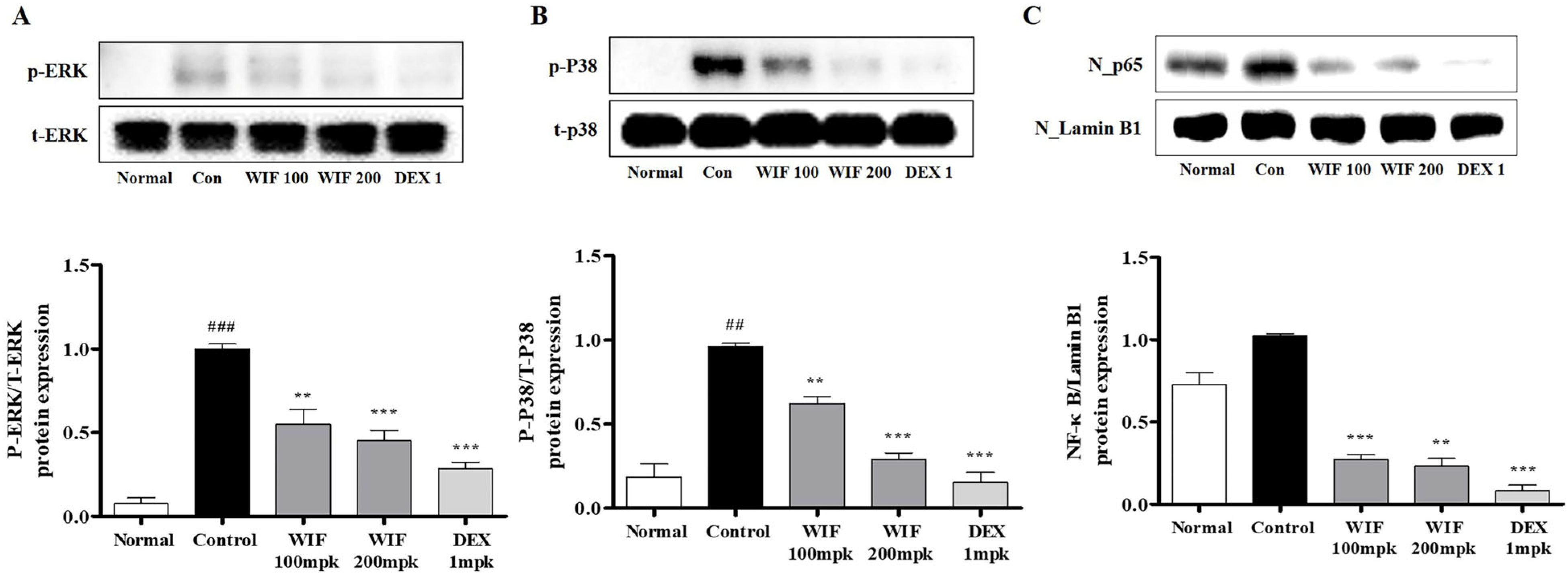 Molecules 28 03960 g004