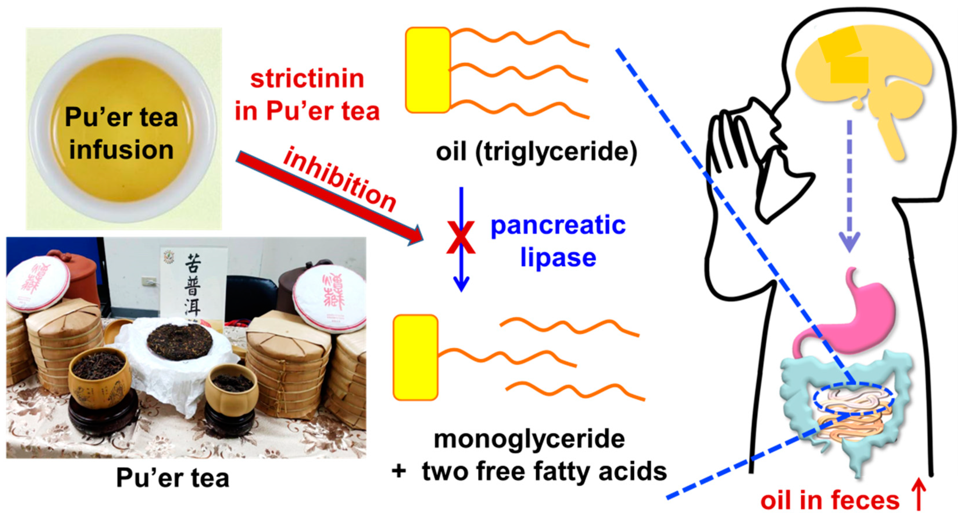 Molecules 28 03961 g005