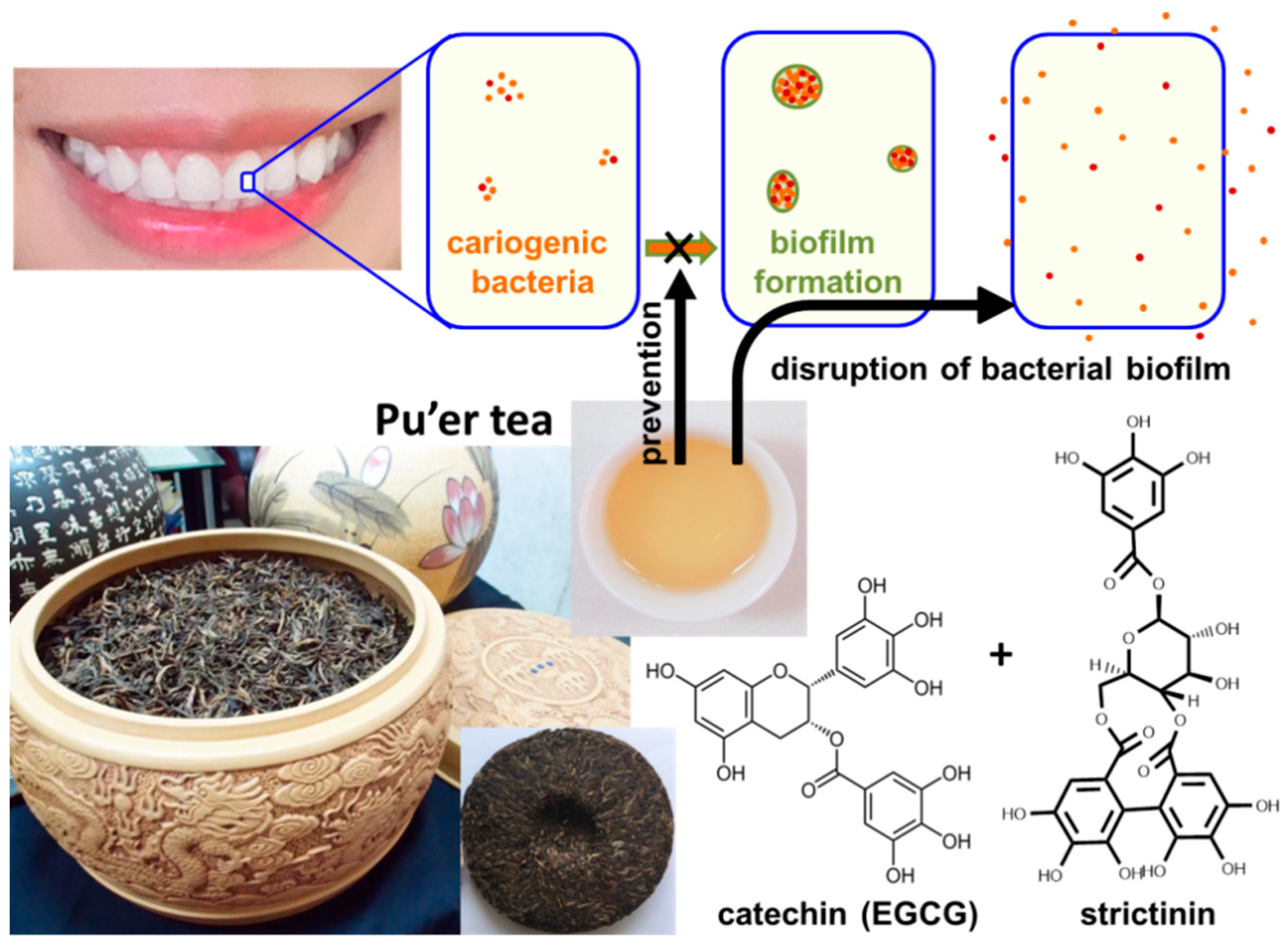 Molecules 28 03961 g006