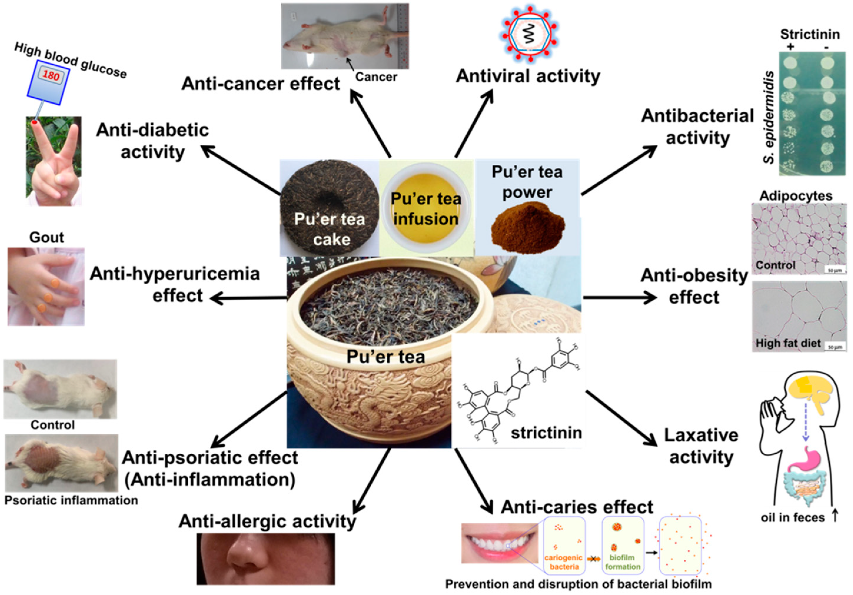 Molecules 28 03961 g007
