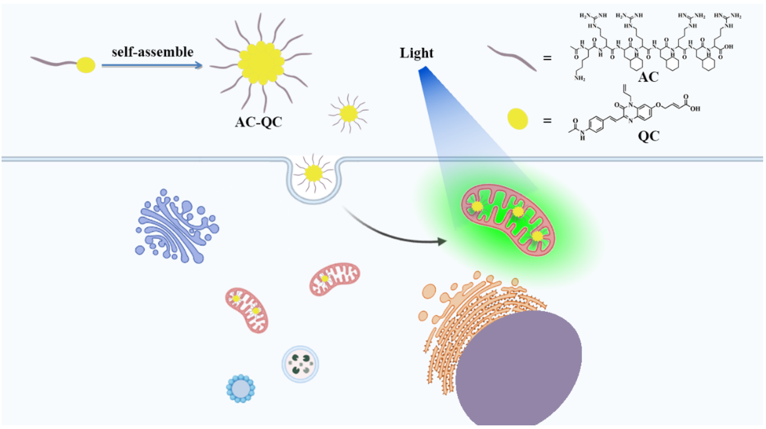 Molecules 28 03962 g001