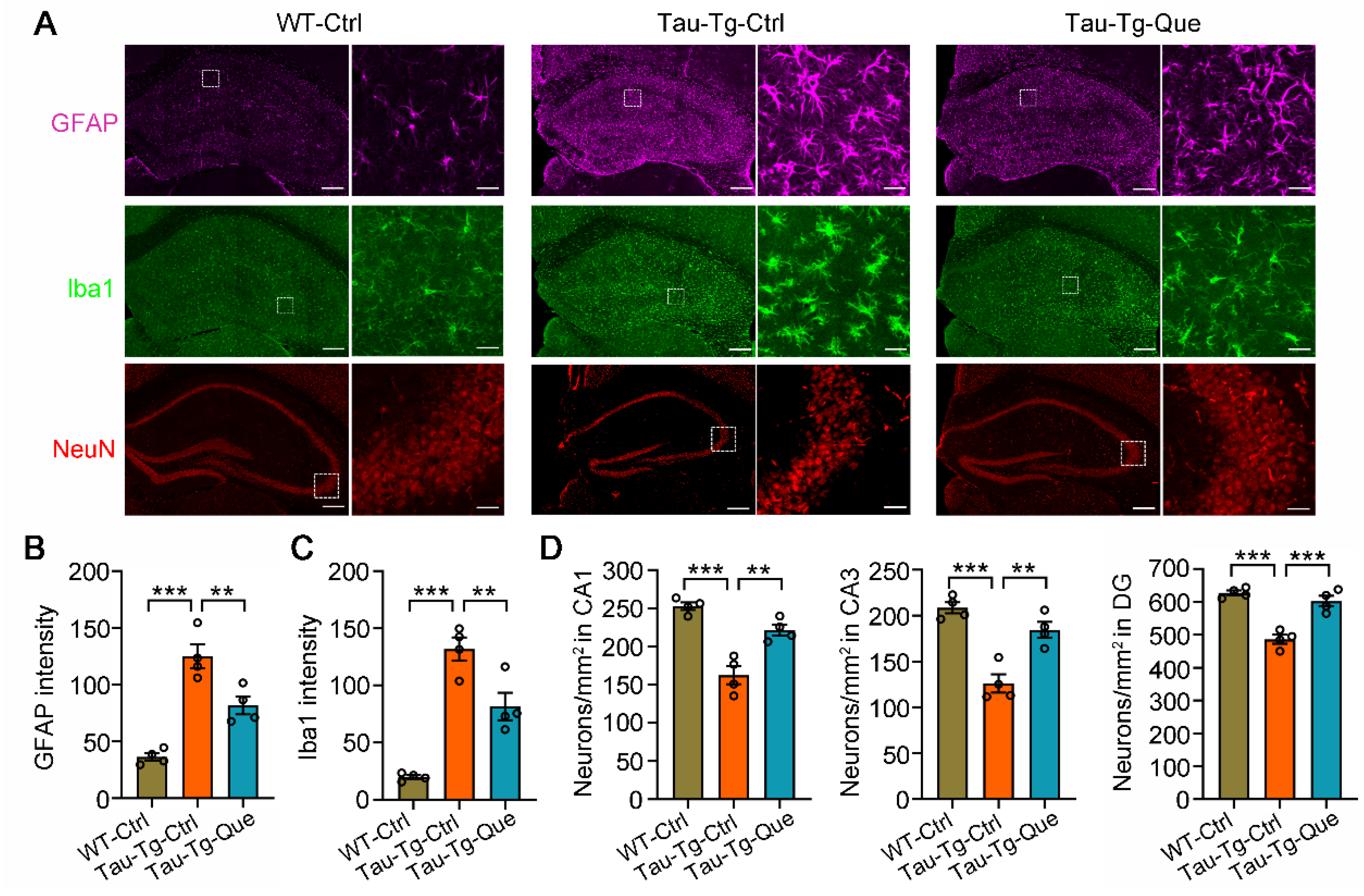 Molecules 28 03964 g005