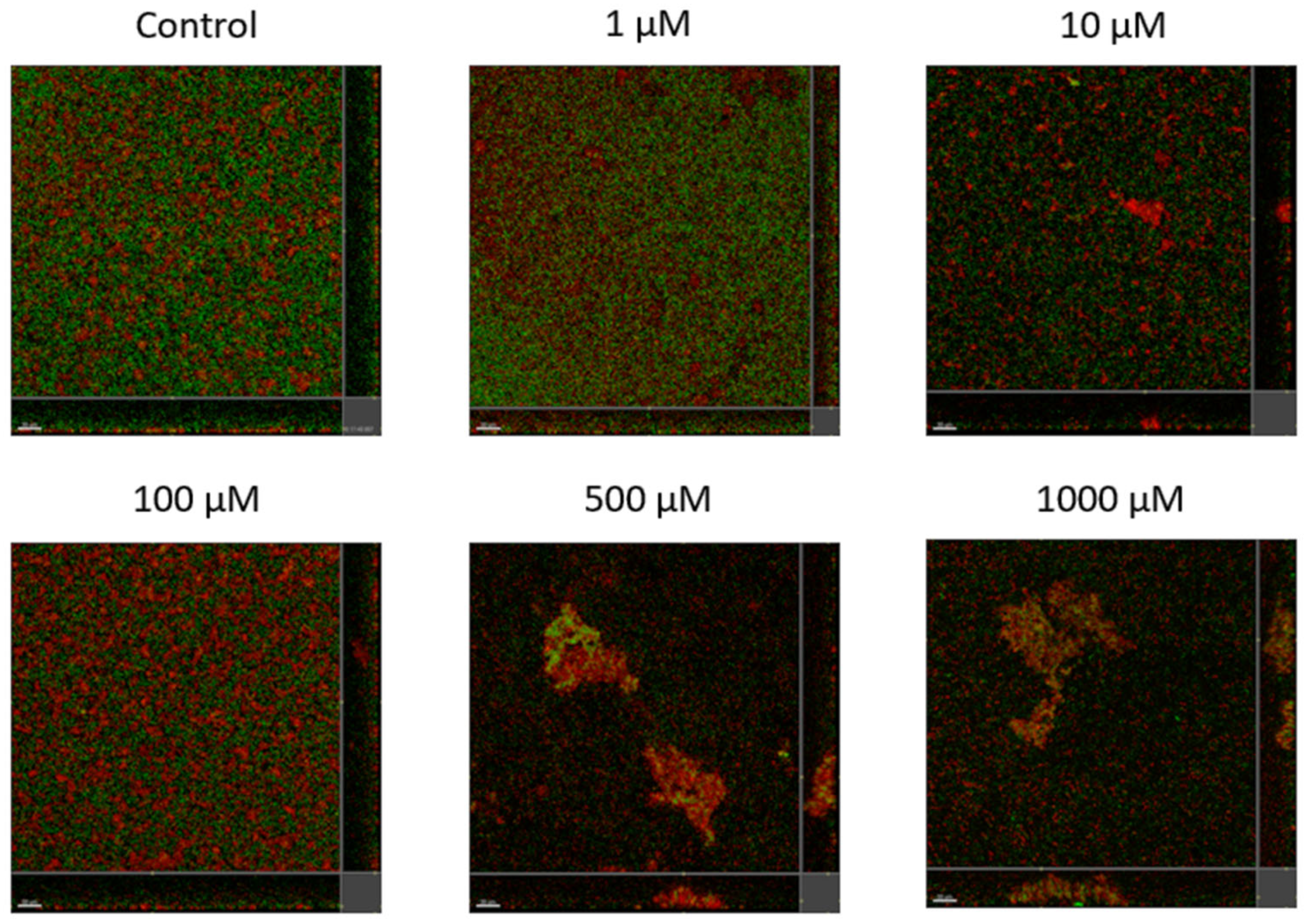 Molecules 28 03965 g004 Molecules 28 03965 g004